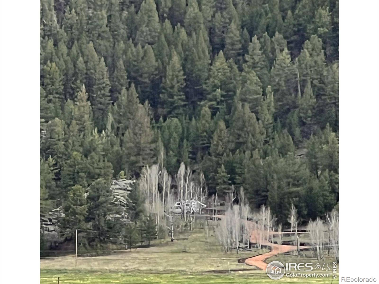 Florissant, CO 80816,313 Elliott DR