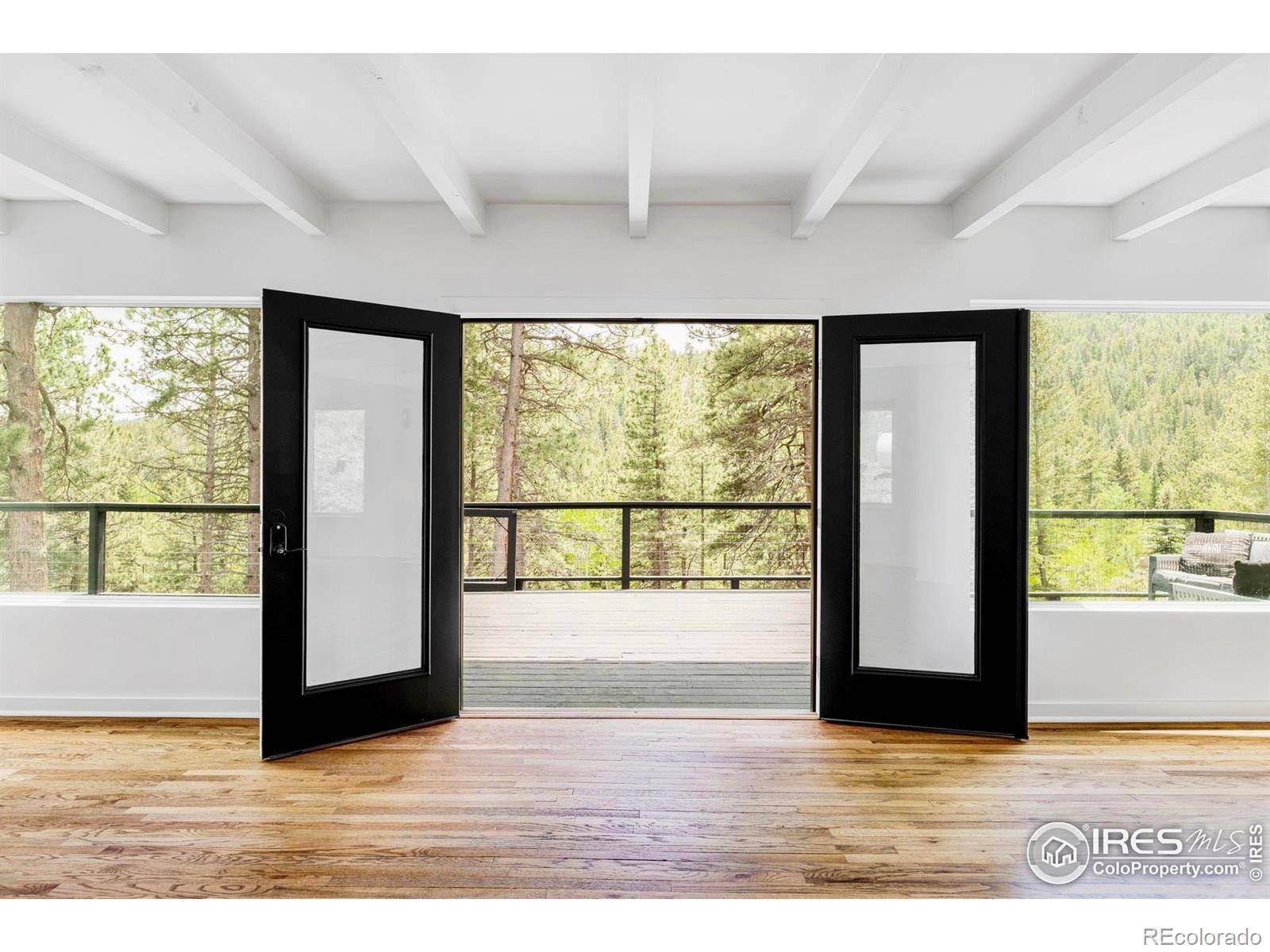 Nederland, CO 80466,781 Cold Springs RD