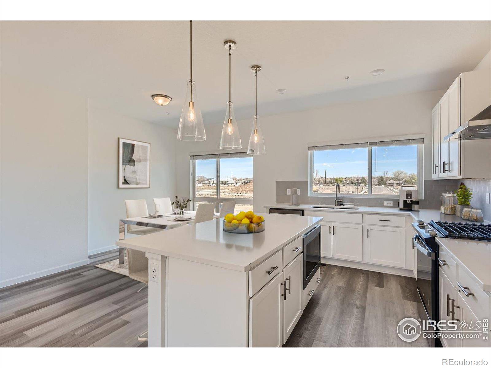 Fort Collins, CO 80524,919 Schlagel ST #3