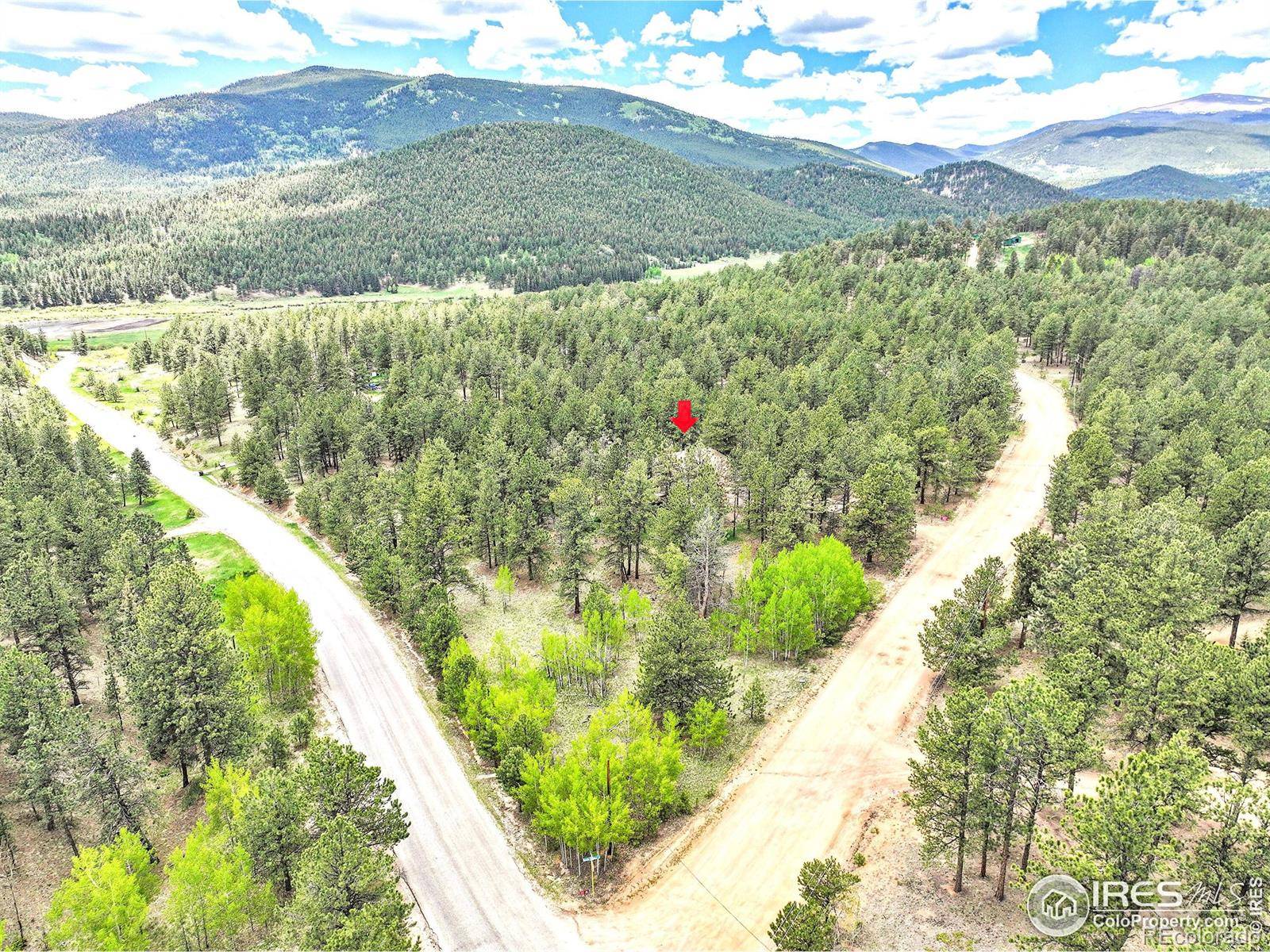 Bailey, CO 80421,56 Bounty Hunter LN