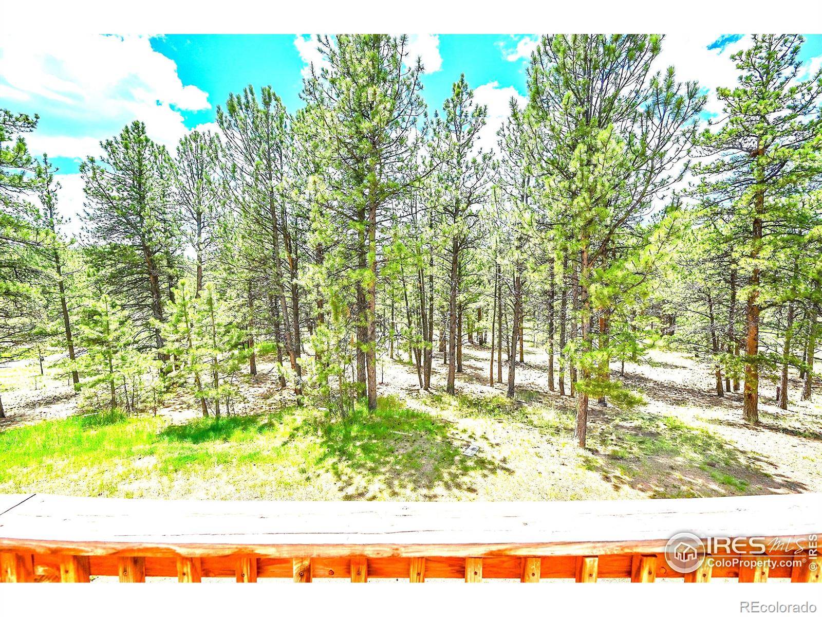 Bailey, CO 80421,56 Bounty Hunter LN