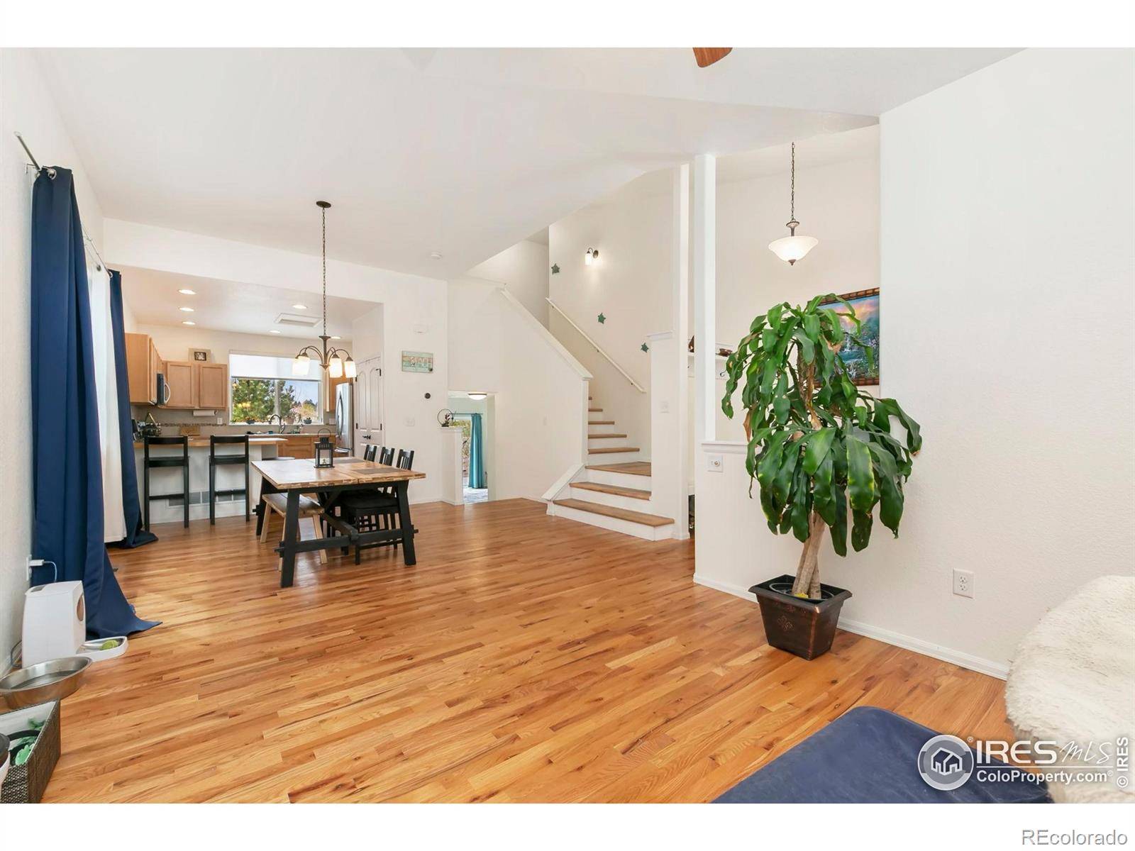 Fort Collins, CO 80524,2339 Thoreau DR