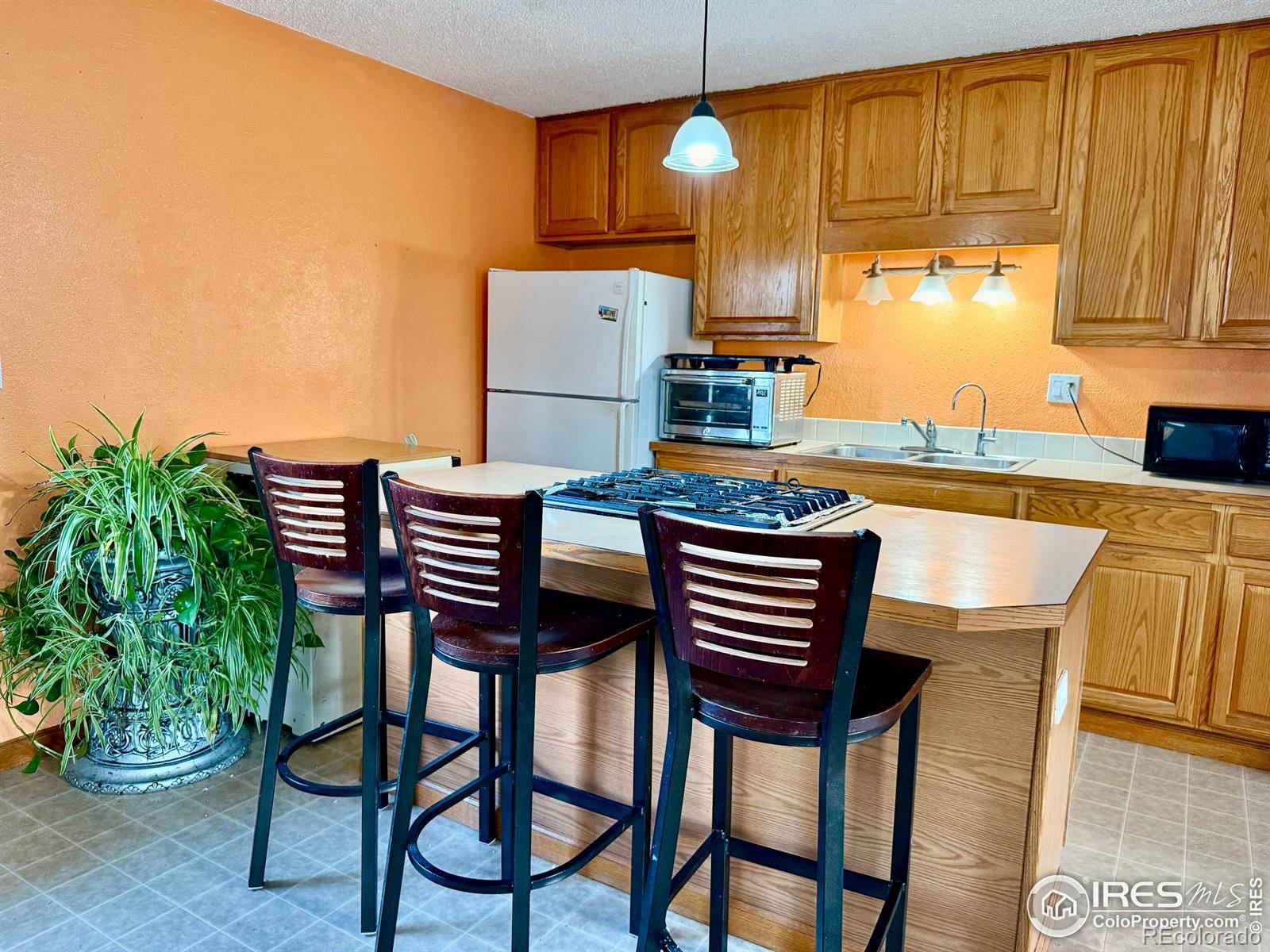Pierce, CO 80650,309 4th ST