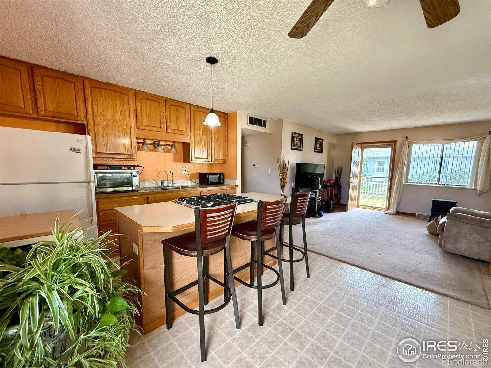 Pierce, CO 80650,309 4th ST