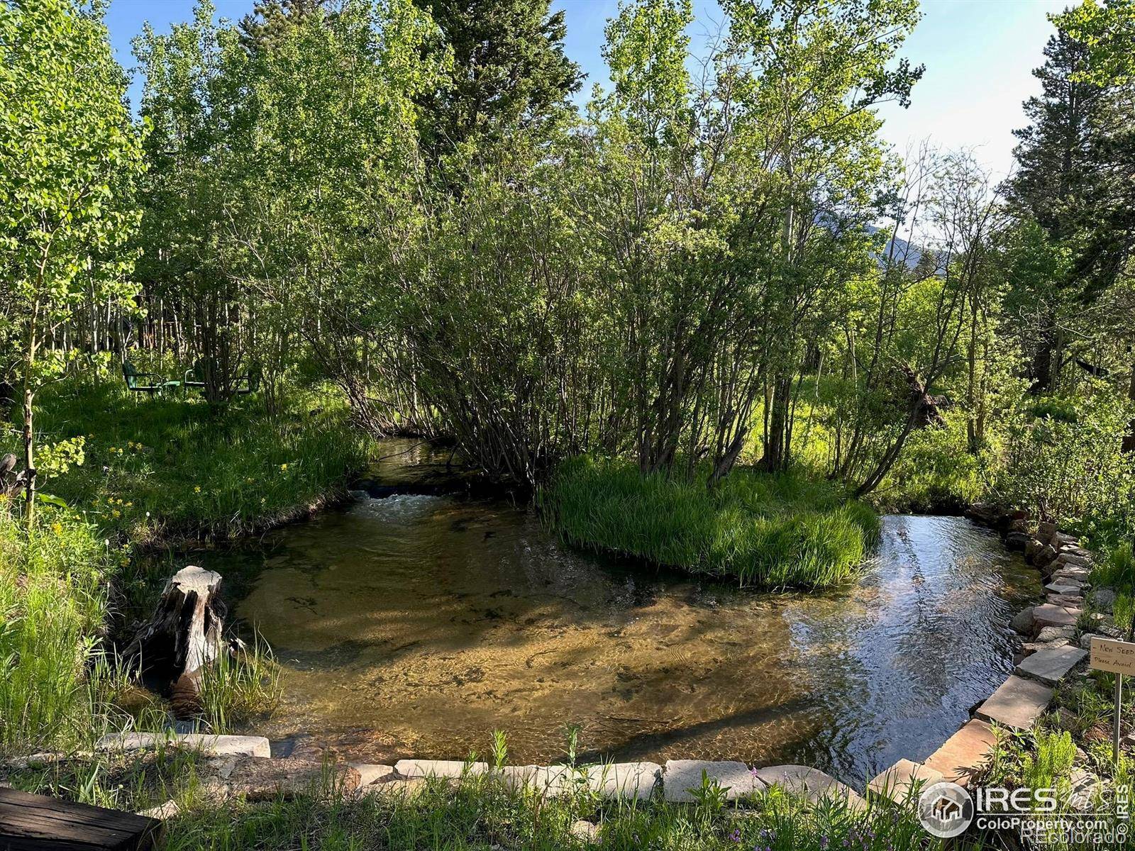 Allenspark, CO 80510,84 County Road 113