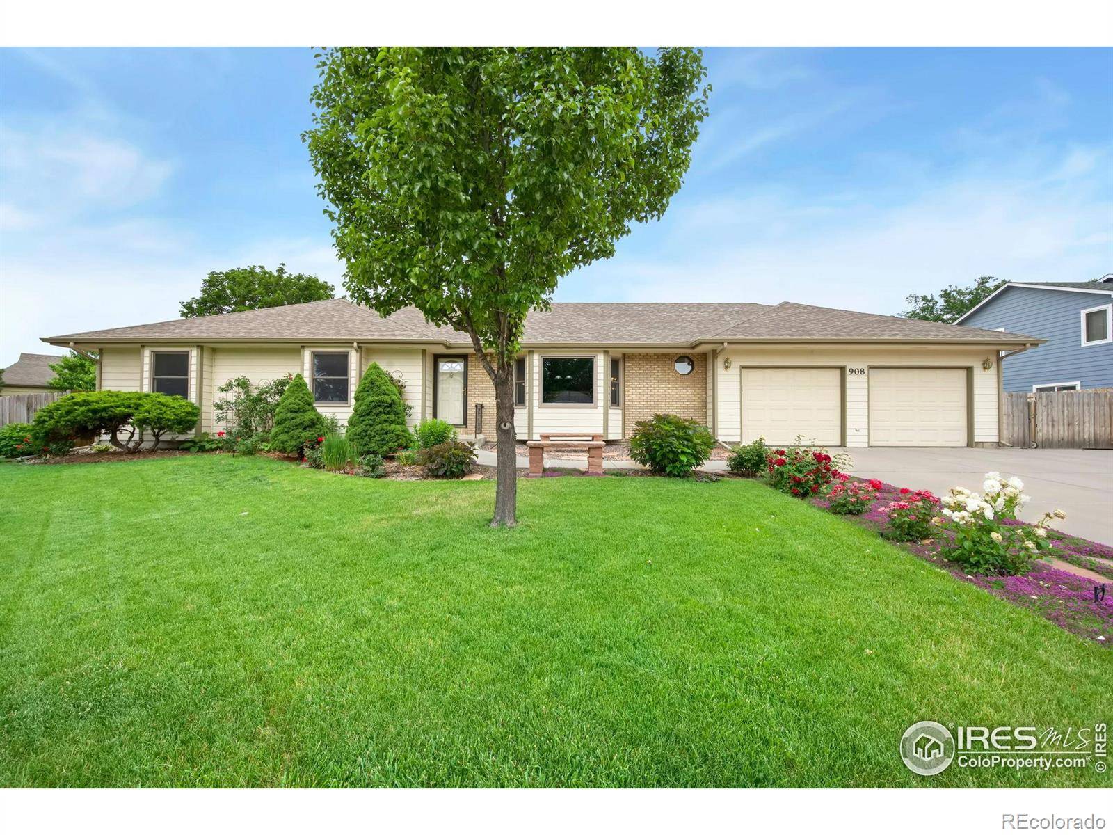 Windsor, CO 80550,908 Pine DR