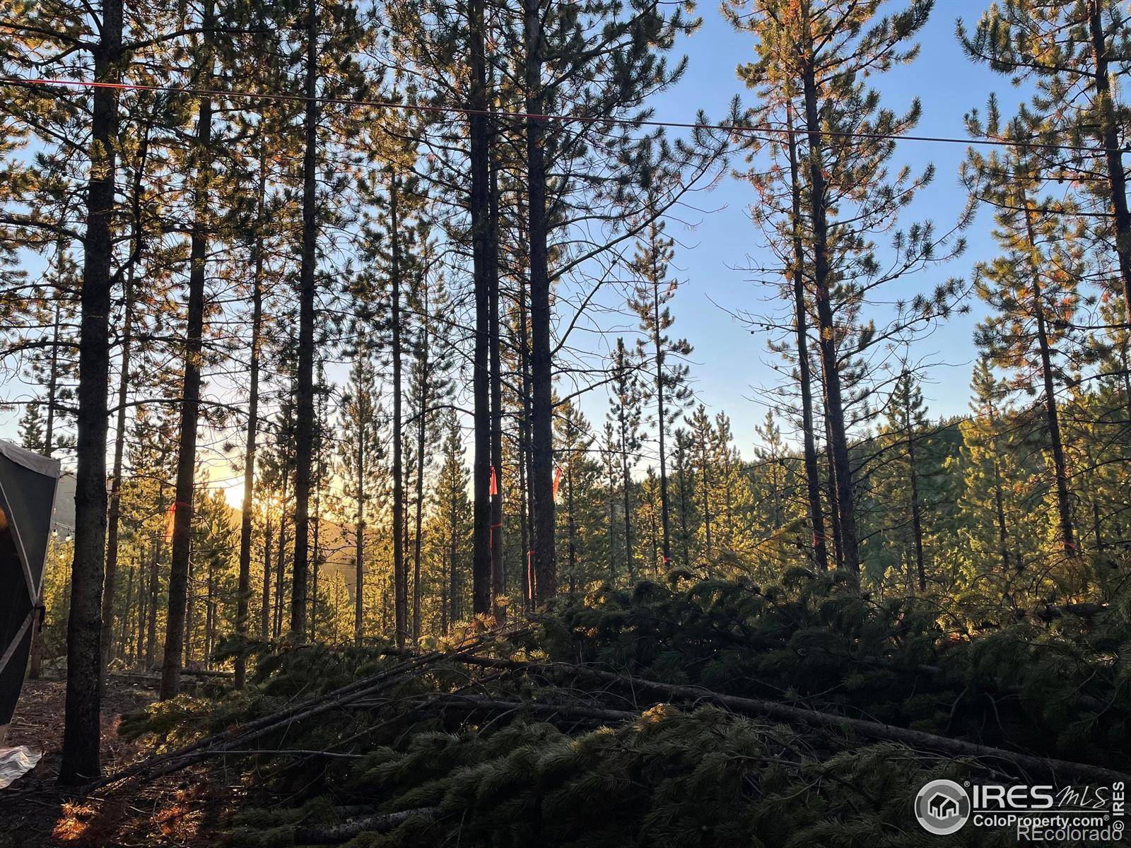 Red Feather Lakes, CO 80545,460 Mescalero DR