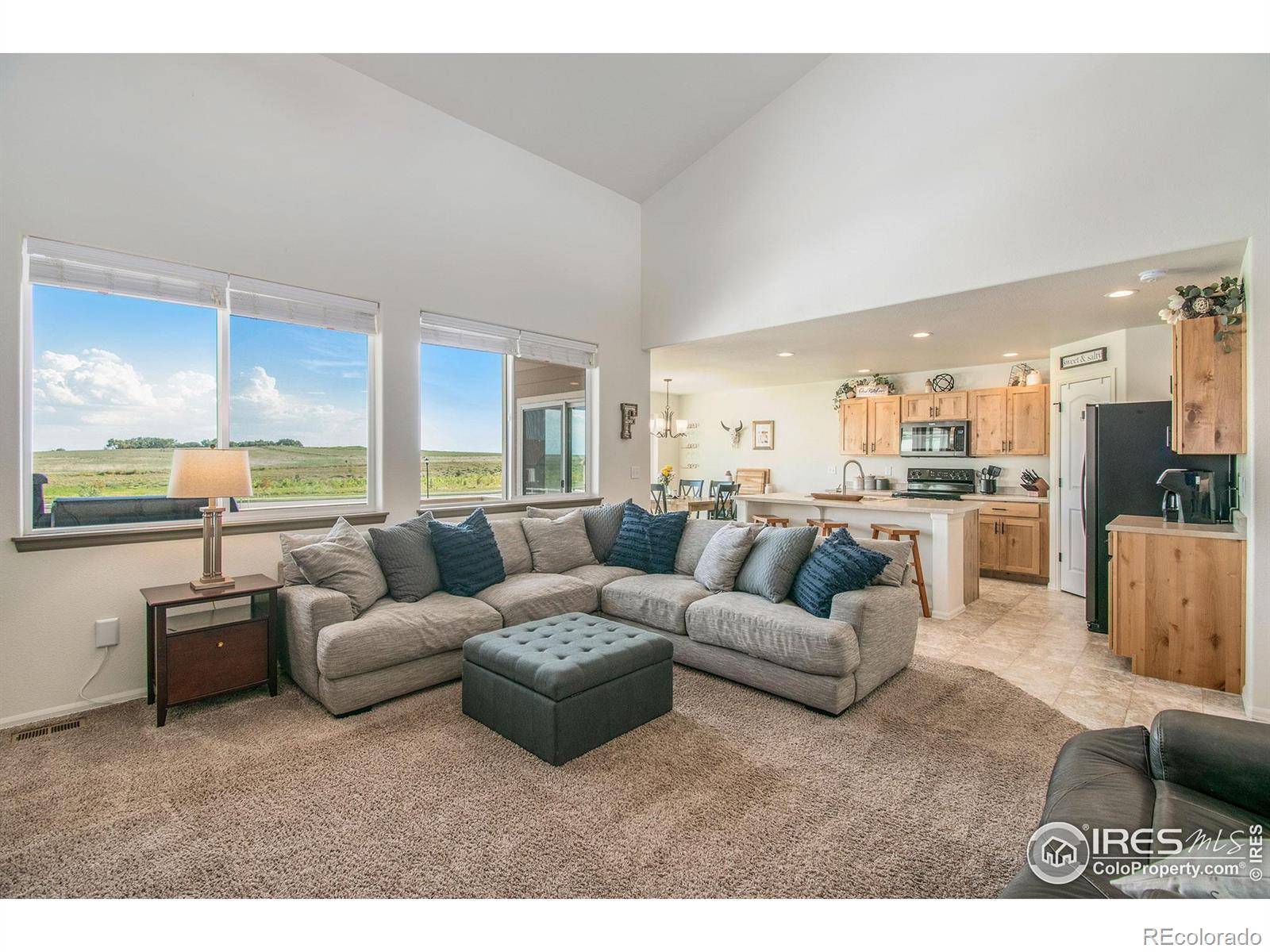 Severance, CO 80550,1103 Ibex DR