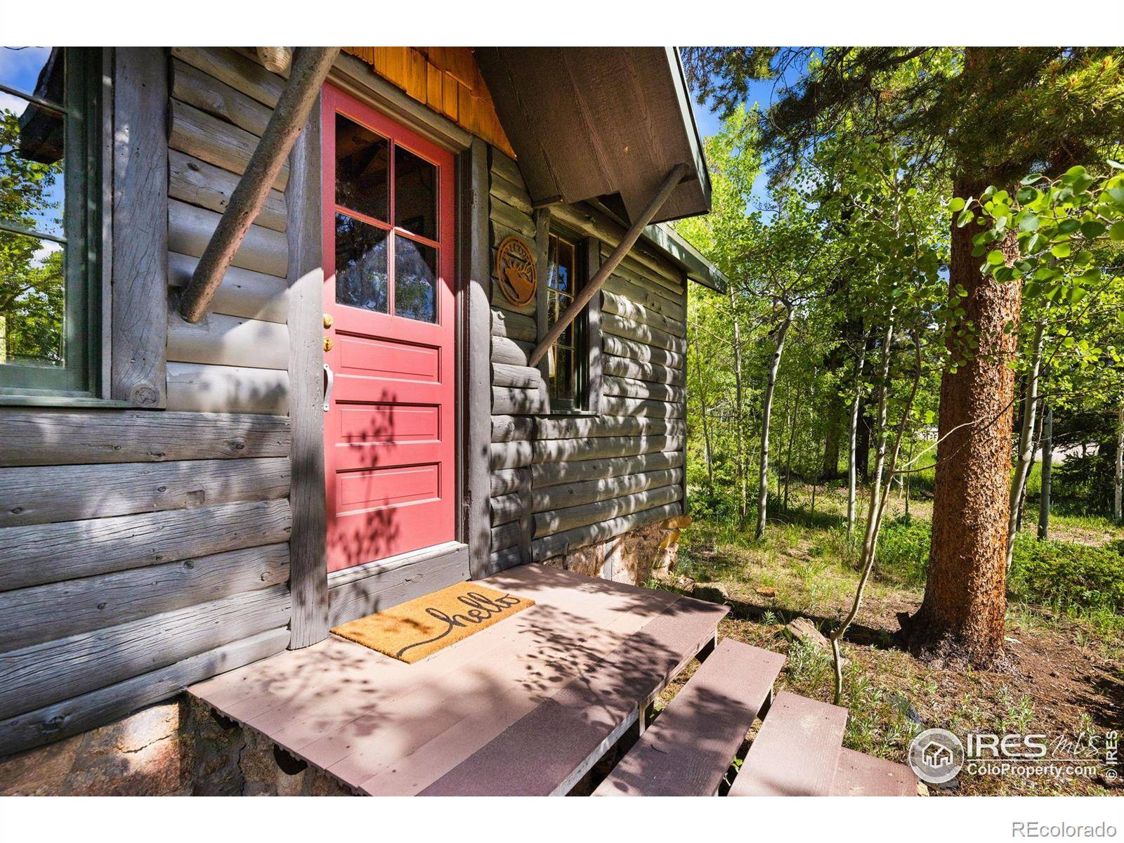 Allenspark, CO 80510,11614 Peak To Peak HWY