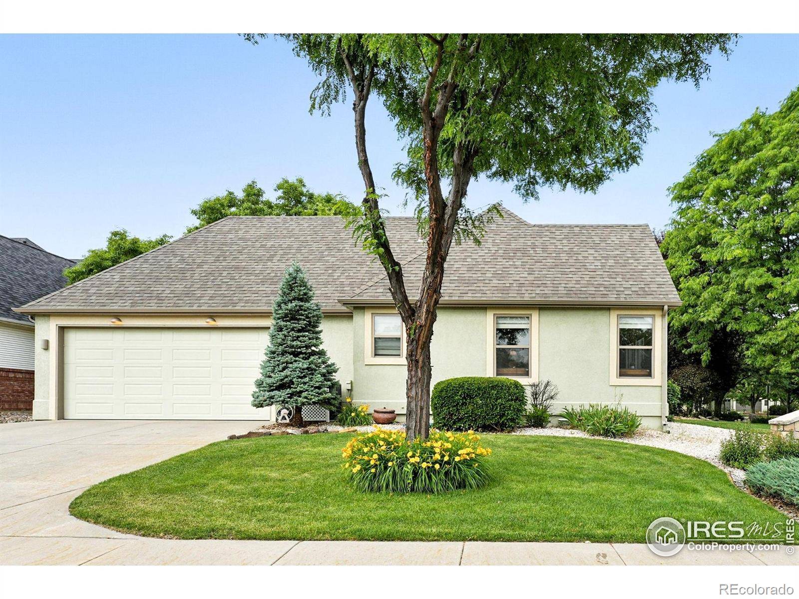 Loveland, CO 80537,734 Rossum DR