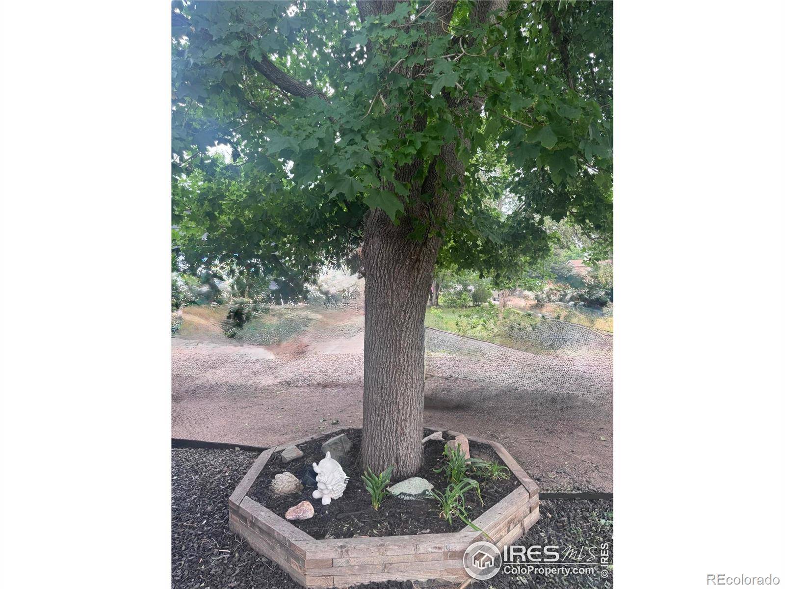 Fort Collins, CO 80521,825 Pear ST