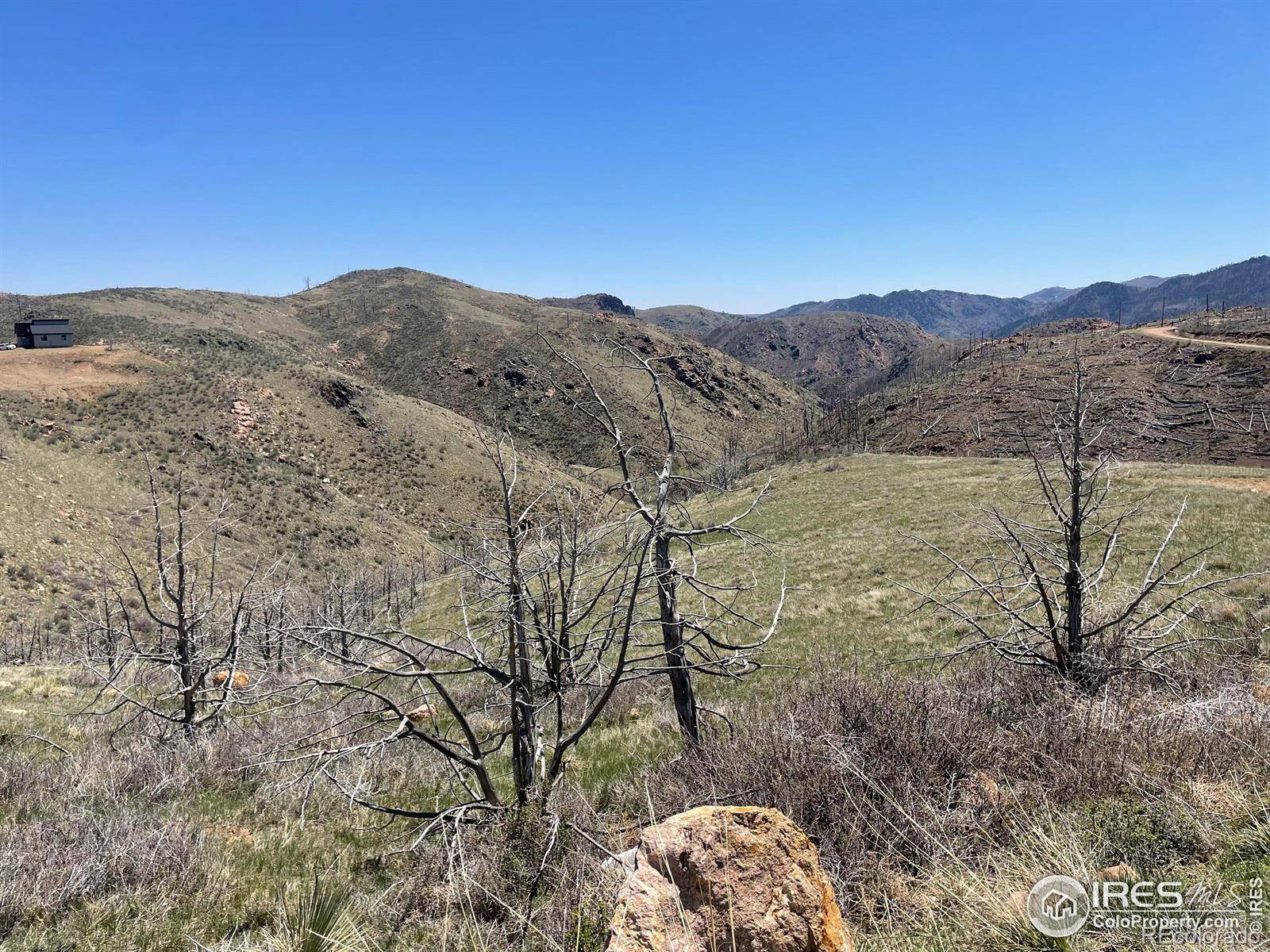 Livermore, CO 80536,890 Meadow Mountain DR