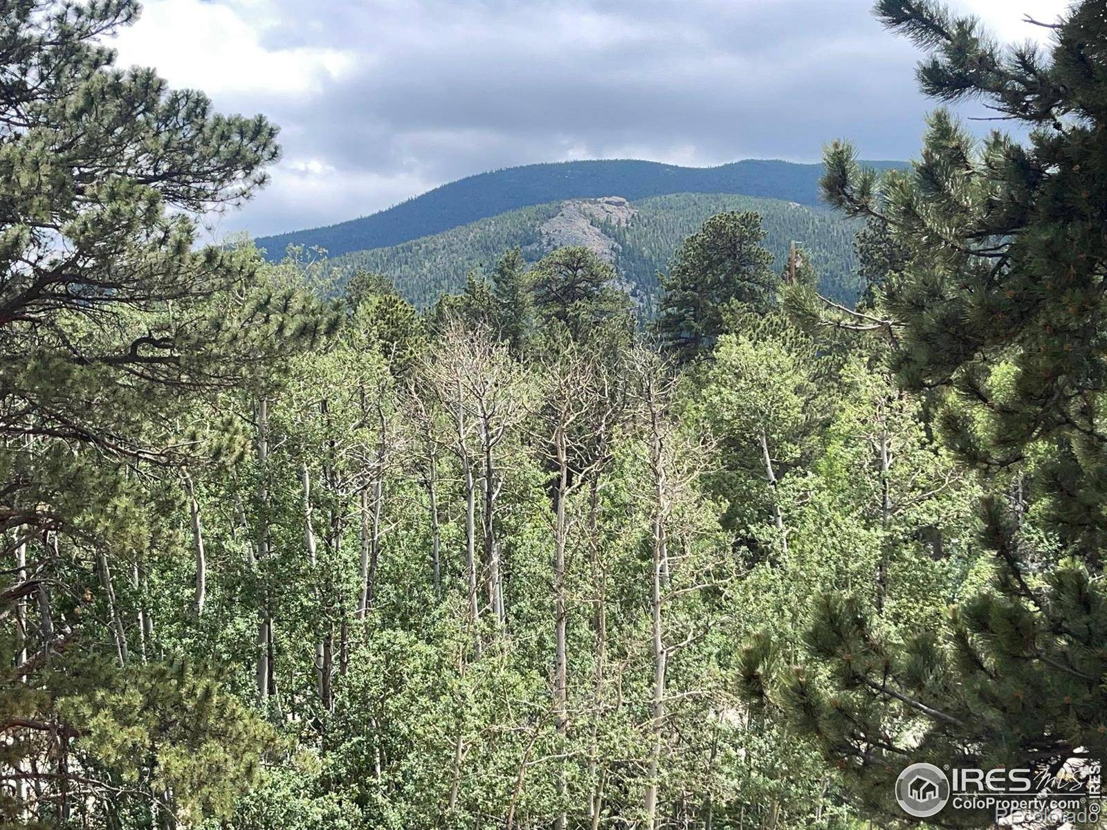 Allenspark, CO 80510,23 2nd AVE