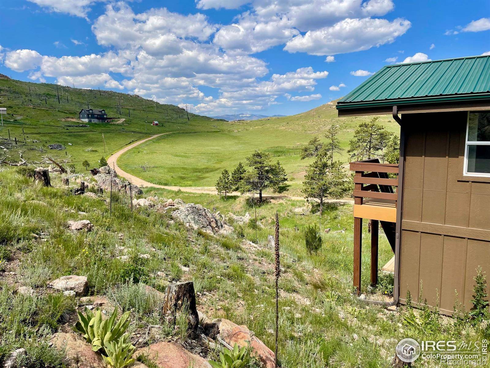 Livermore, CO 80536,98 Mount Audubon WAY