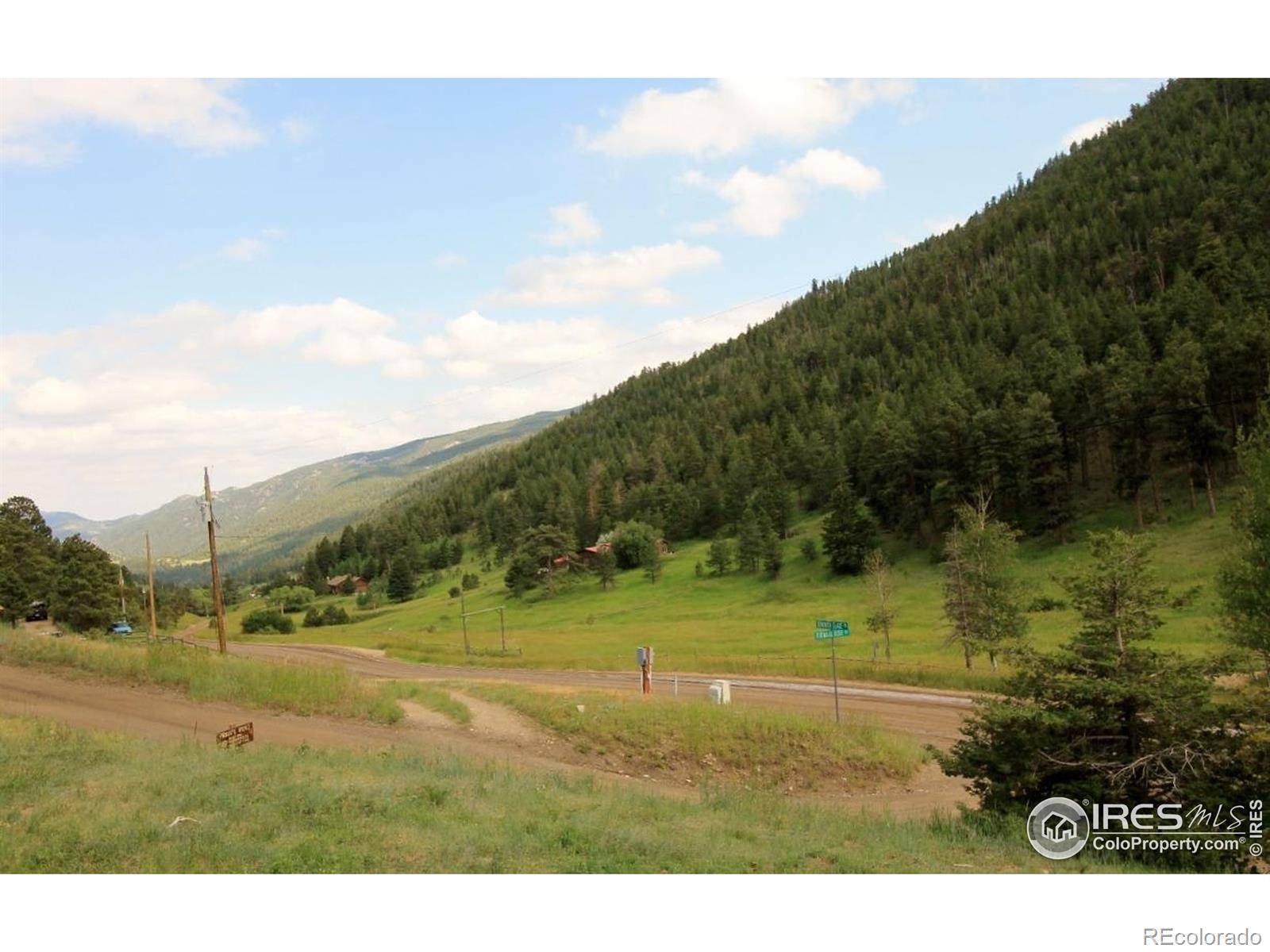 Glen Haven, CO 80532,1618 Dunraven Glade RD