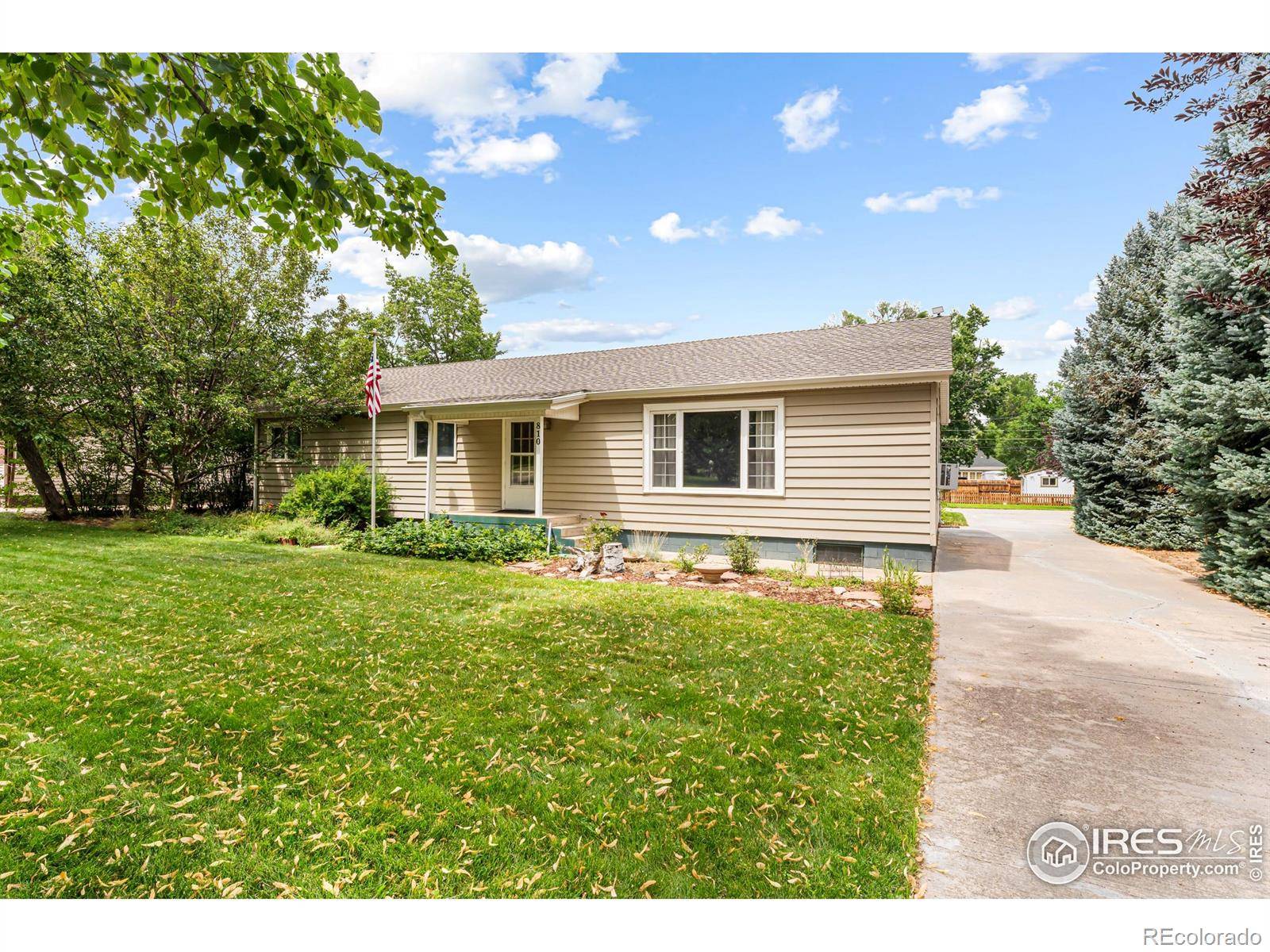 Windsor, CO 80550,810 Elm ST