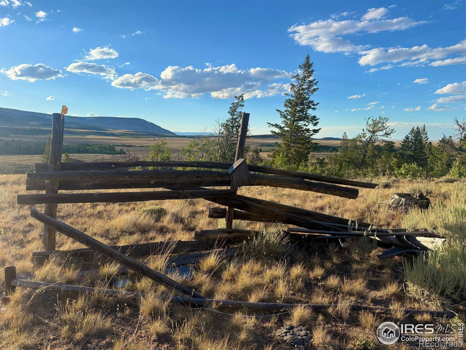 Red Feather Lakes, CO 80545,624 Dewclaw RD