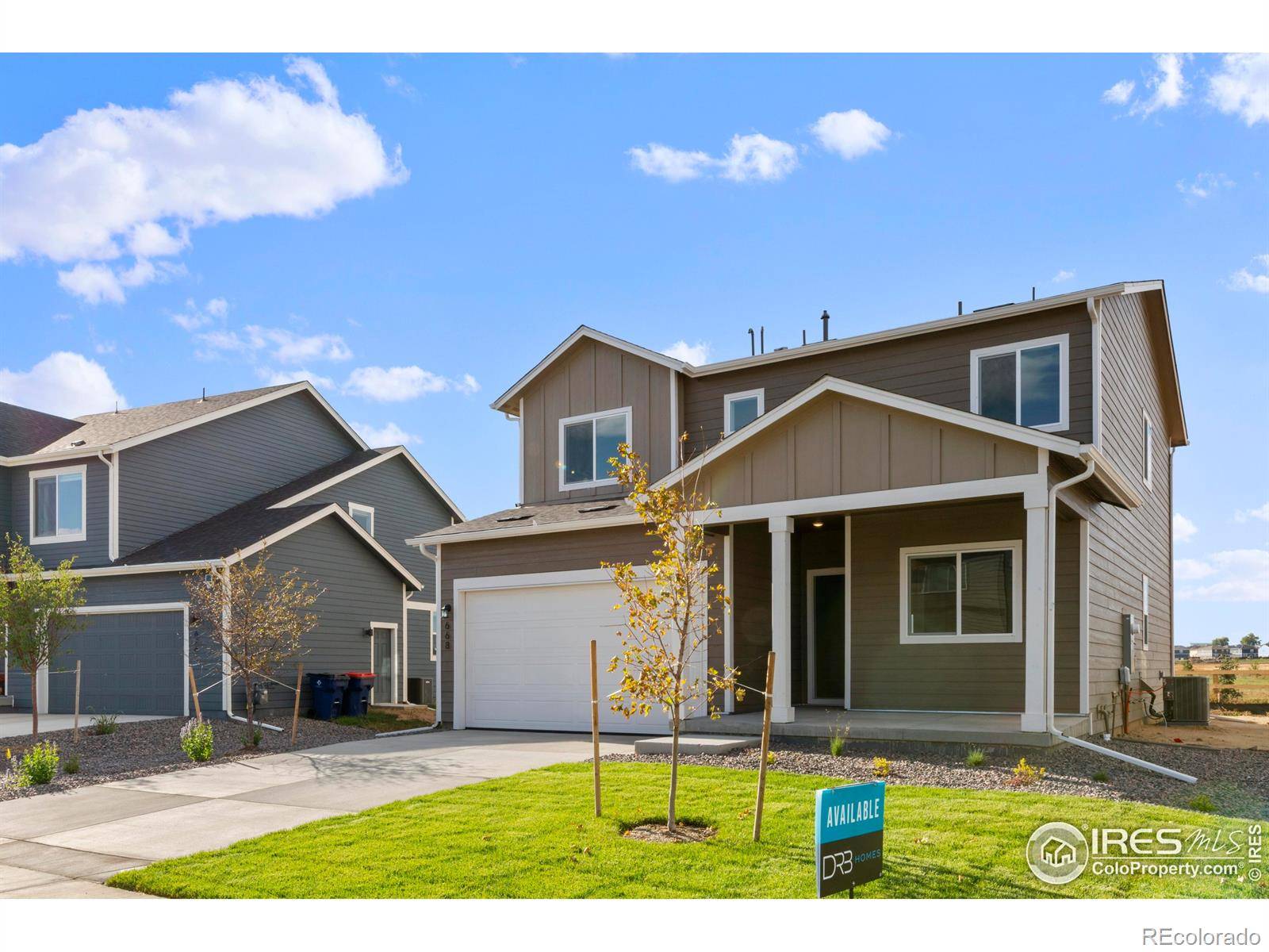 Johnstown, CO 80534,668 Piedmontese ST