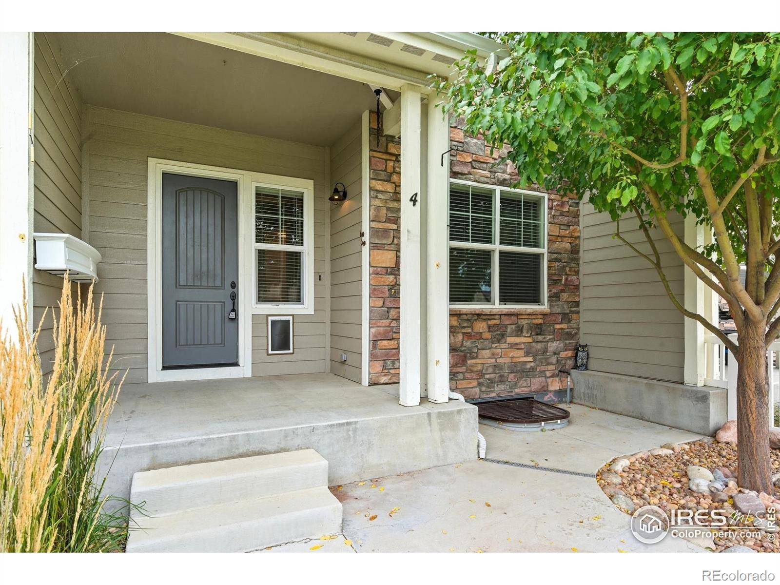 Windsor, CO 80550,2154 Montauk LN #4