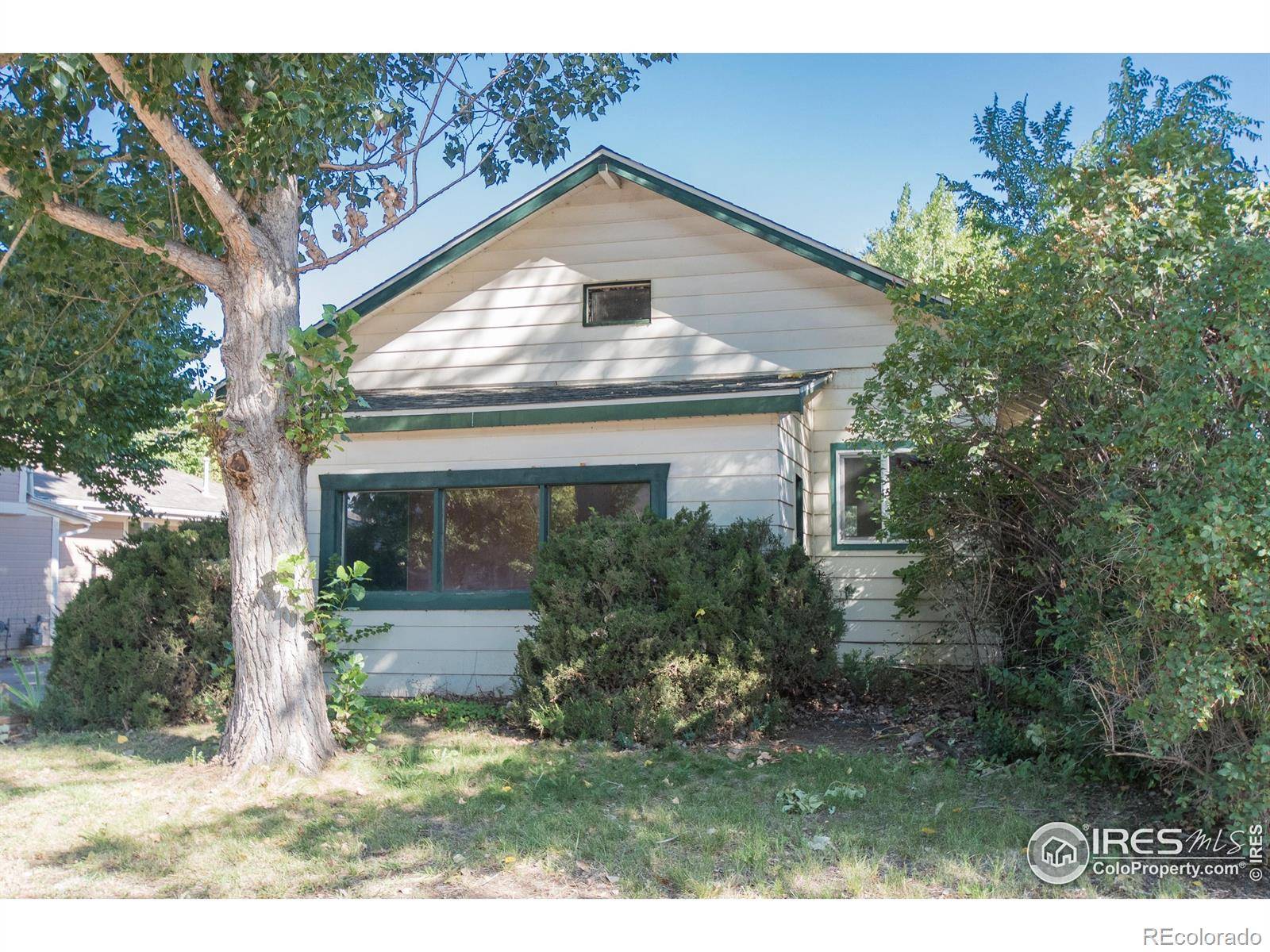 Windsor, CO 80550,104 Oak ST