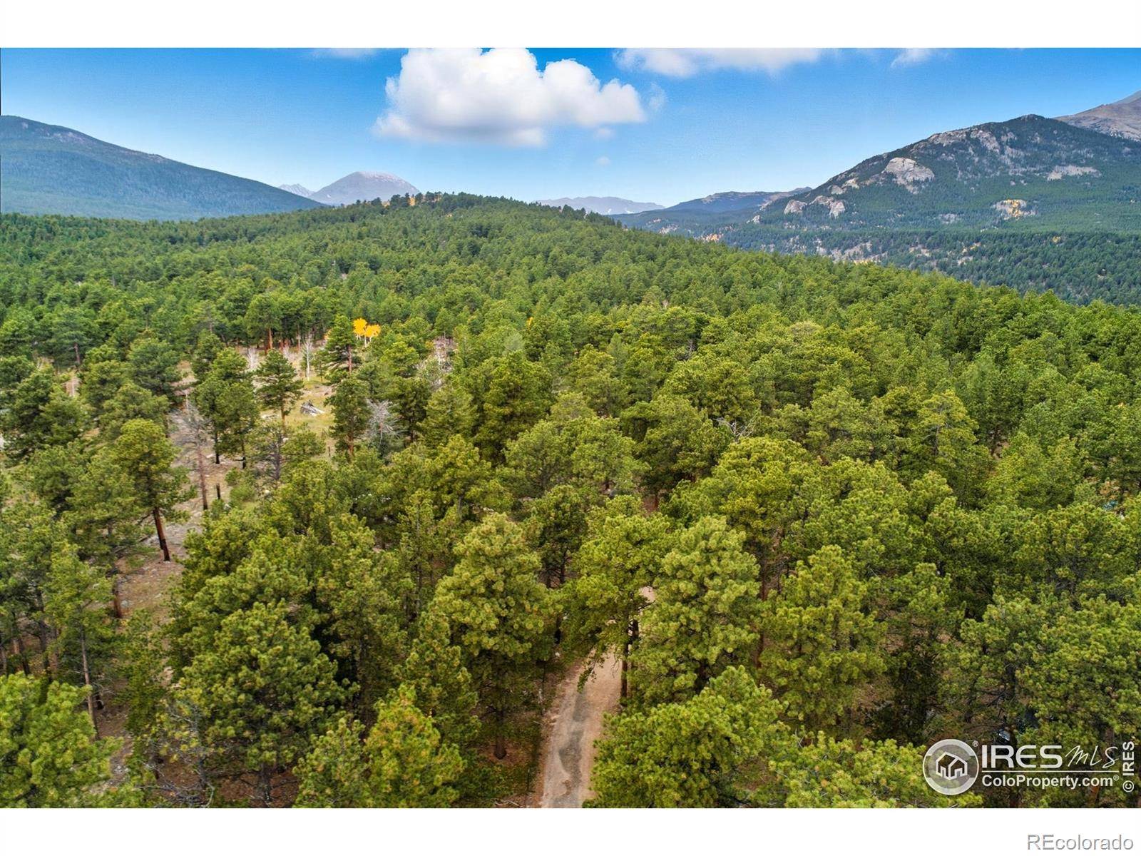 Allenspark, CO 80510,441 County Road 84