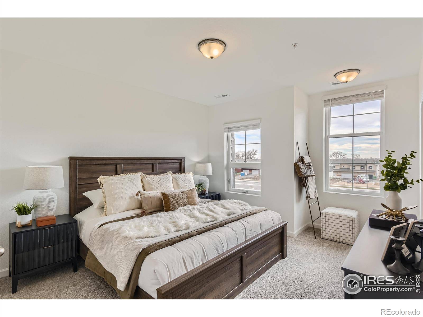 Fort Collins, CO 80524,919 Schlagel ST #5