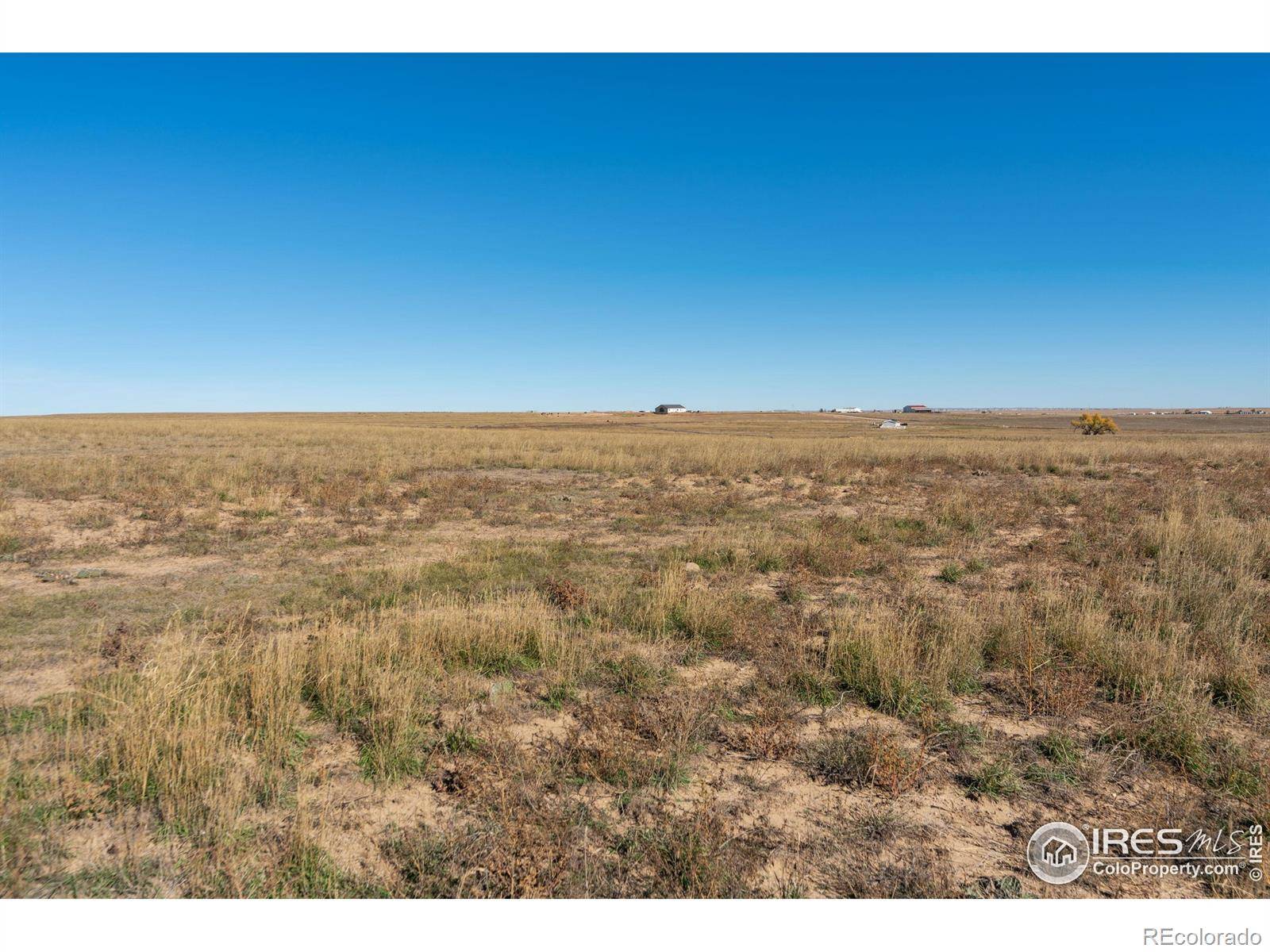 Carr, CO 80612,54215 County Road 21