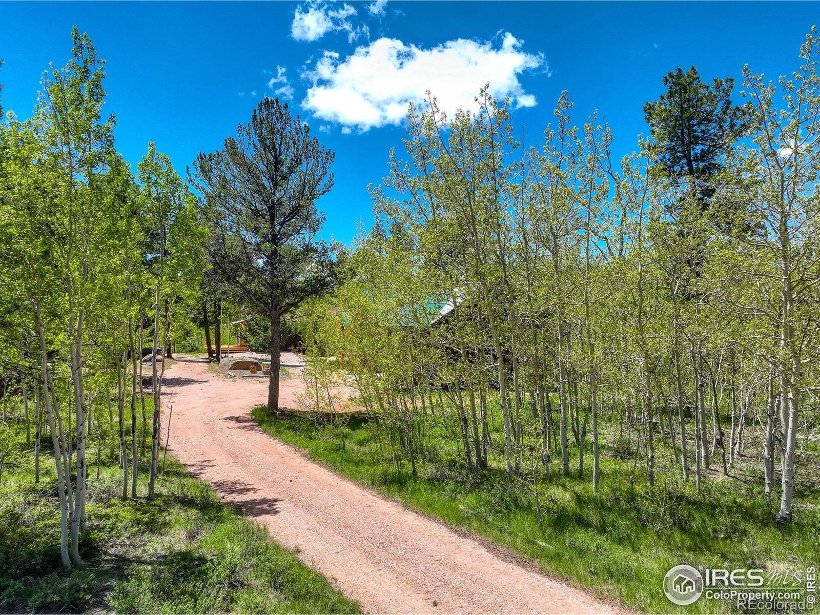 Red Feather Lakes, CO 80545,132 Nicola WAY