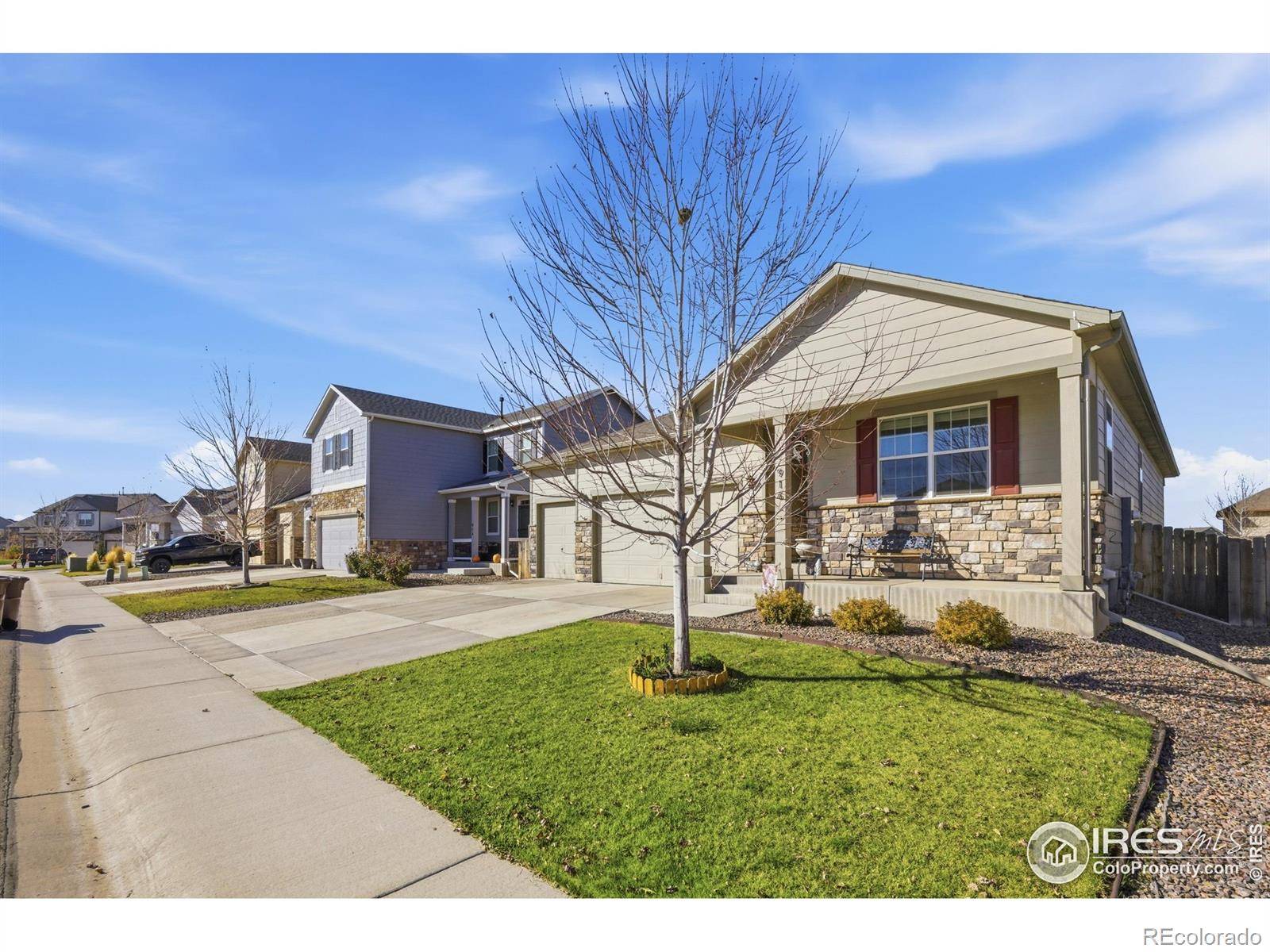 Windsor, CO 80550,916 Birchdale CT