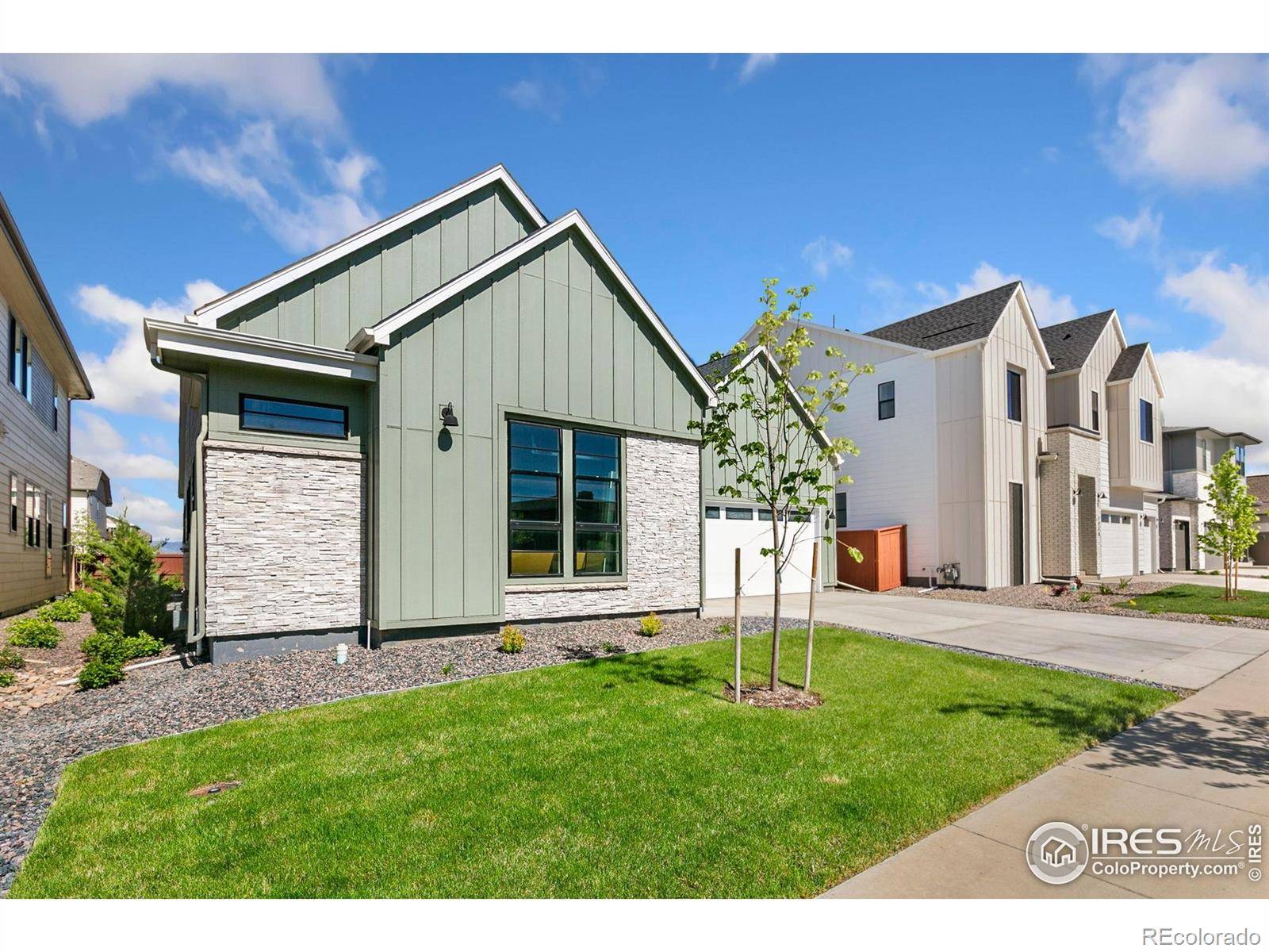 Windsor, CO 80550,1716 Branching Canopy DR