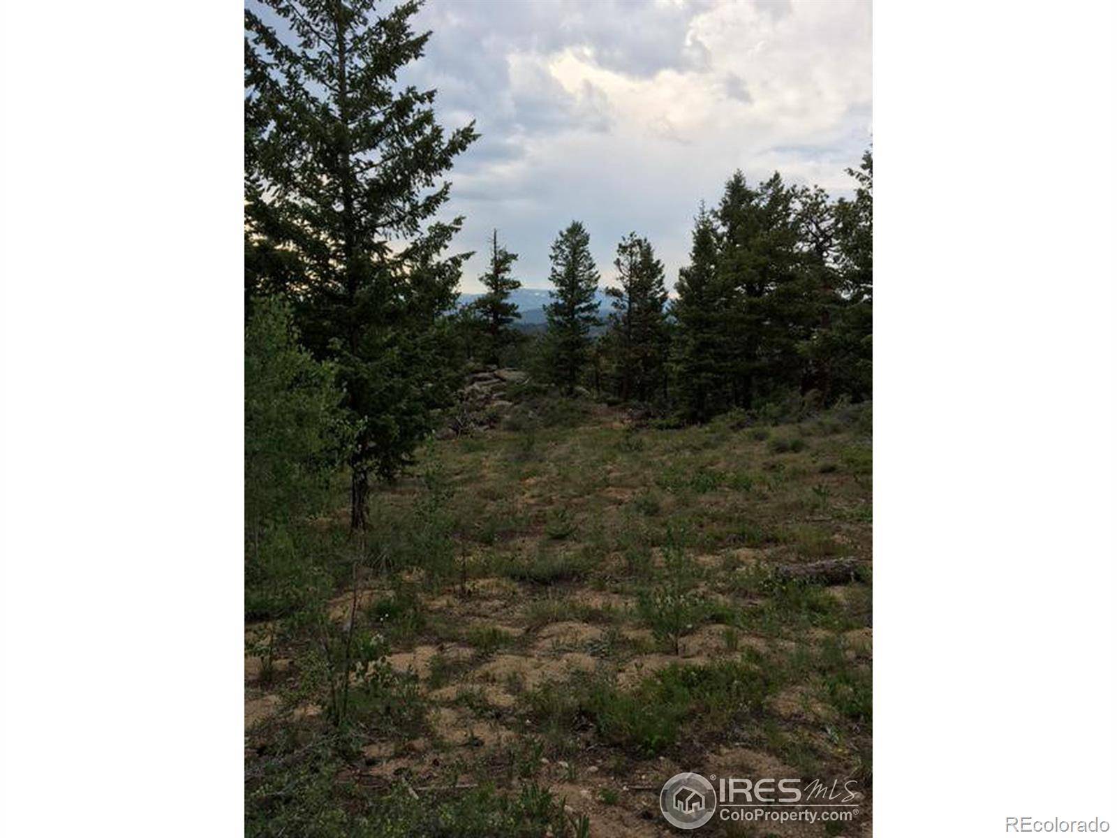 Nederland, CO 80466,0 Cougar RUN