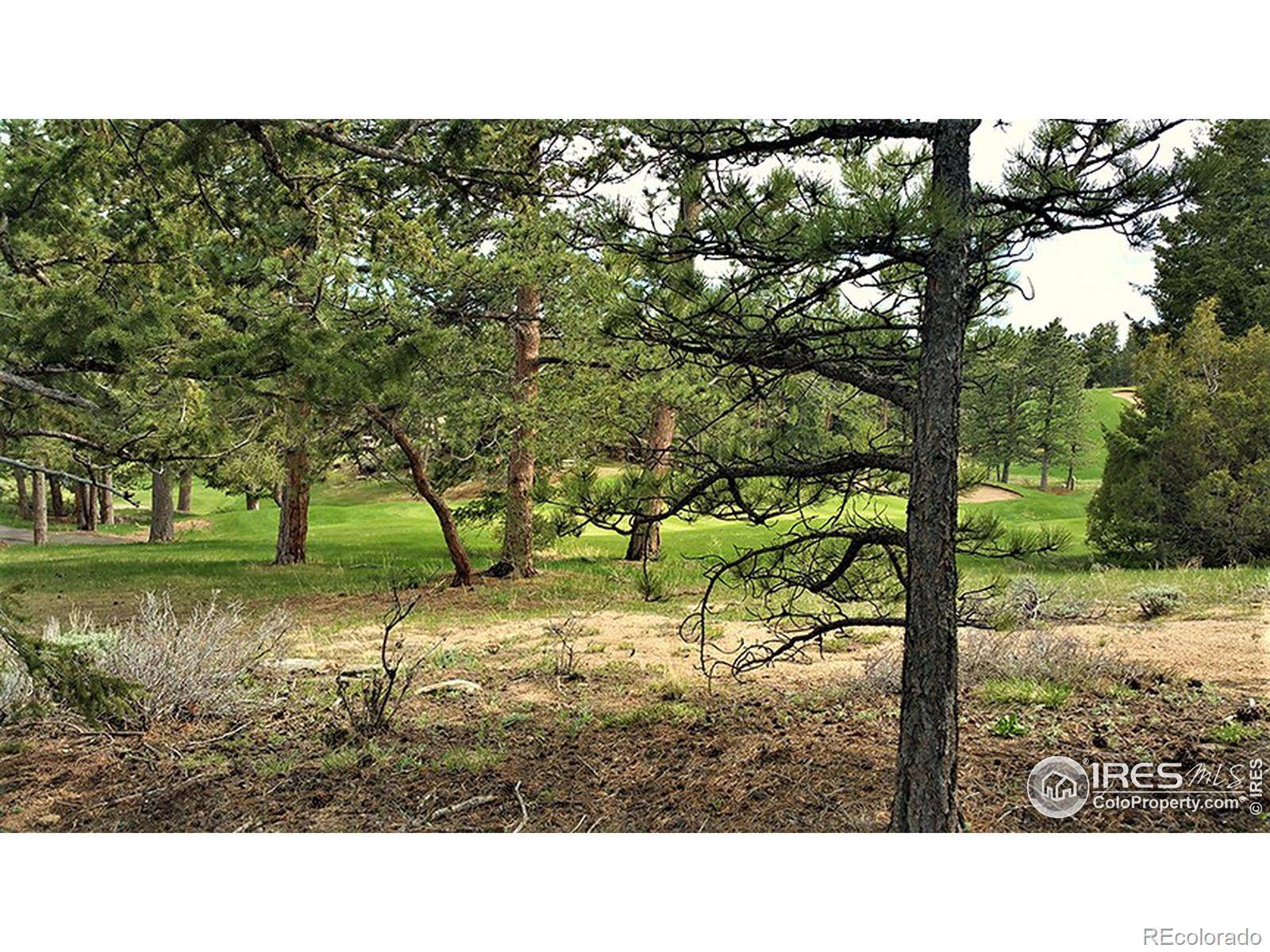 Red Feather Lakes, CO 80545,540 W Fox Acres DR