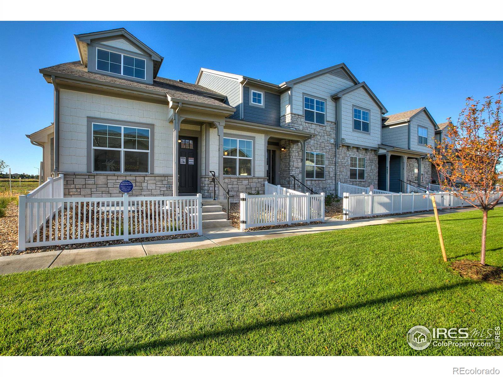 Windsor, CO 80528,8482 Cromwell DR #6