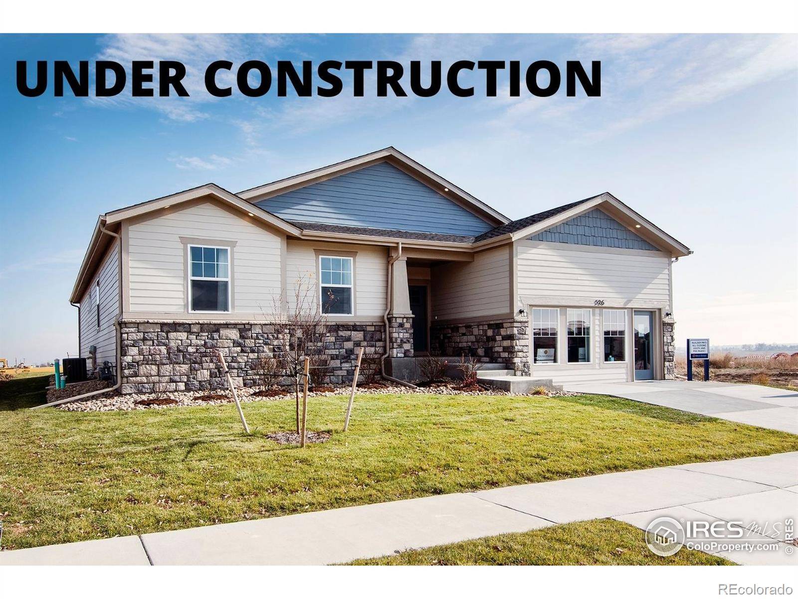 Windsor, CO 80550,1728 Branching Canopy DR