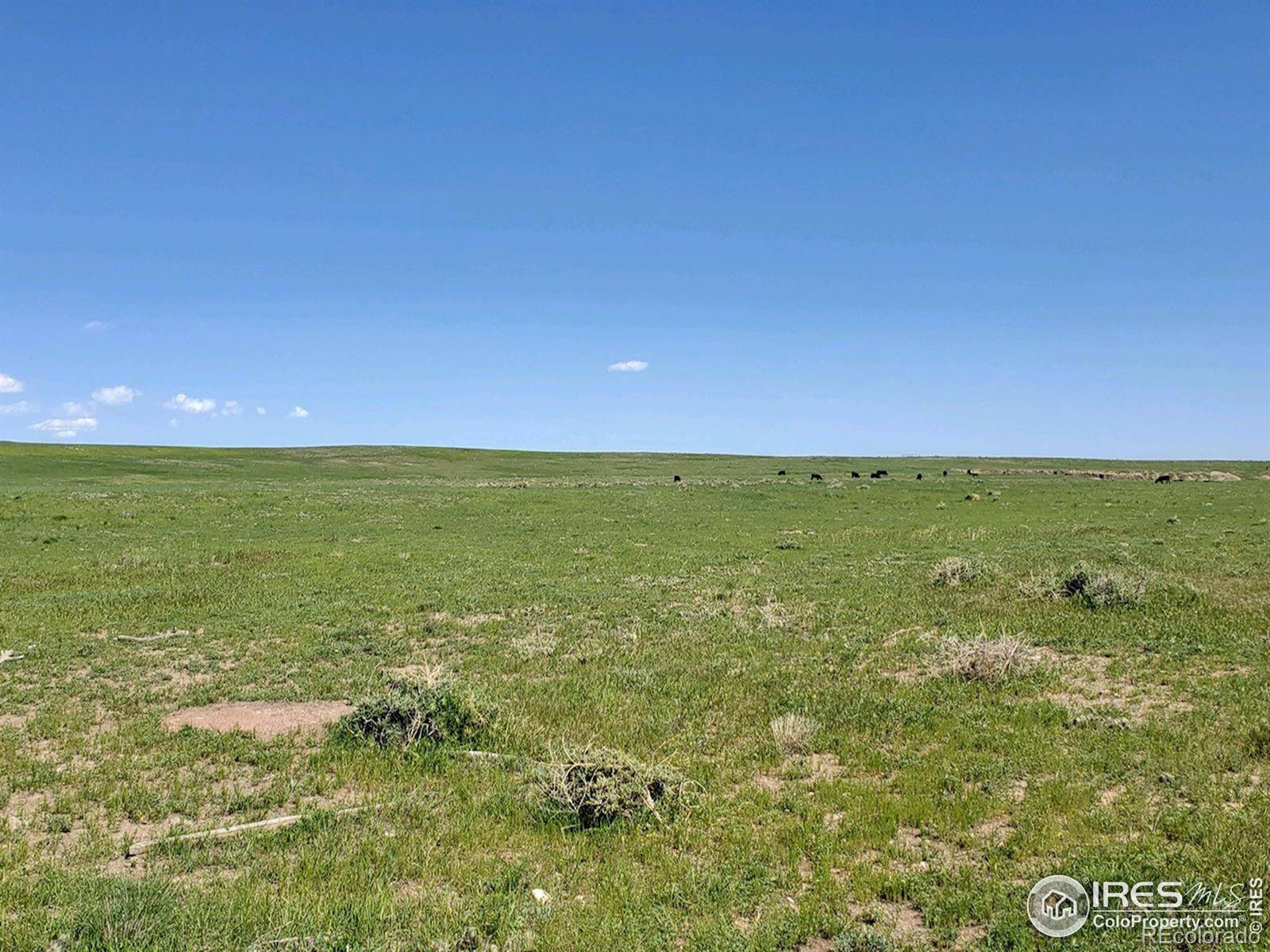 Nunn, CO 80648,0 County Road 98