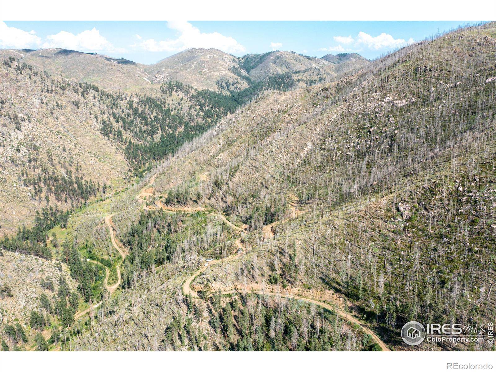 Bellvue, CO 80512,0 TBD Stratton Park Rd Lot 8