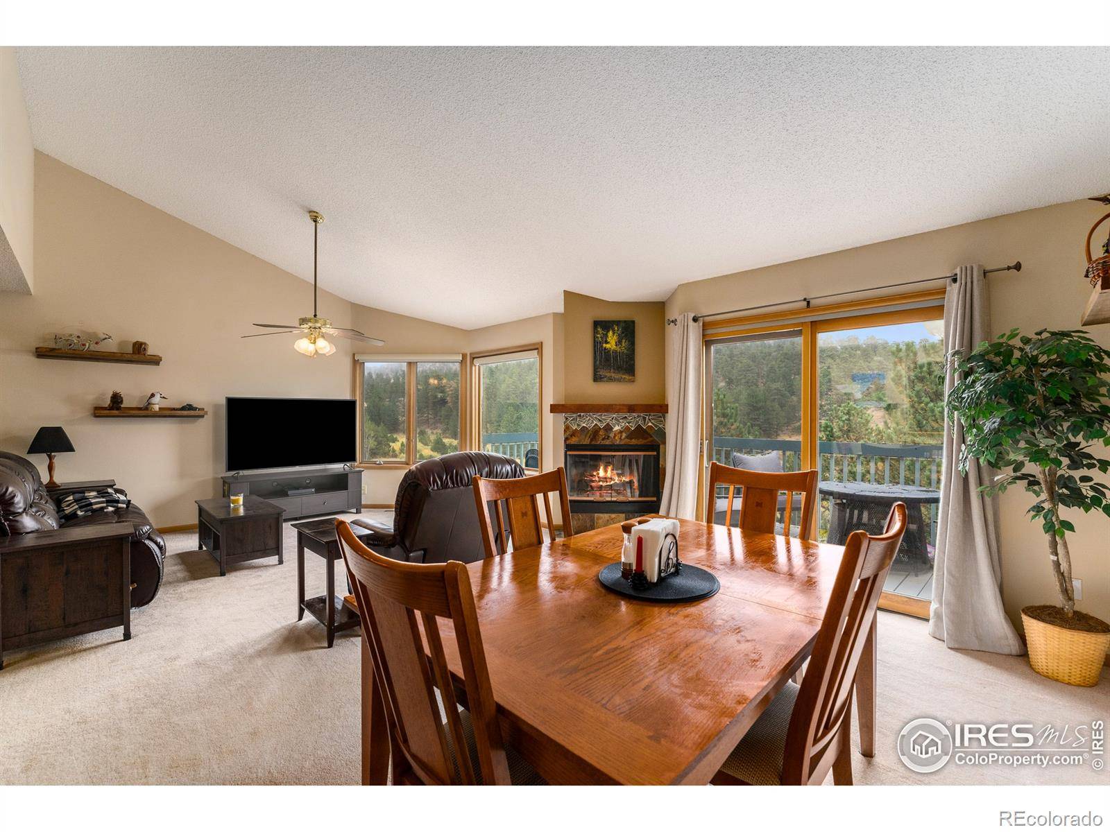 Estes Park, CO 80517,1861 Raven AVE #6