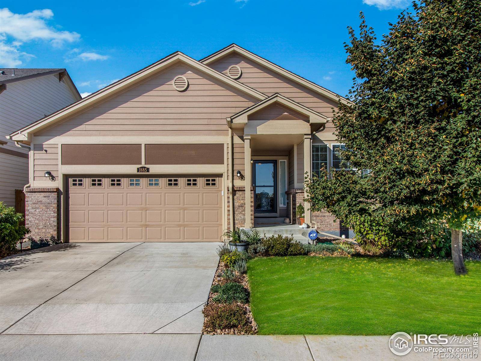 Longmont, CO 80501,1885 Trevor CIR