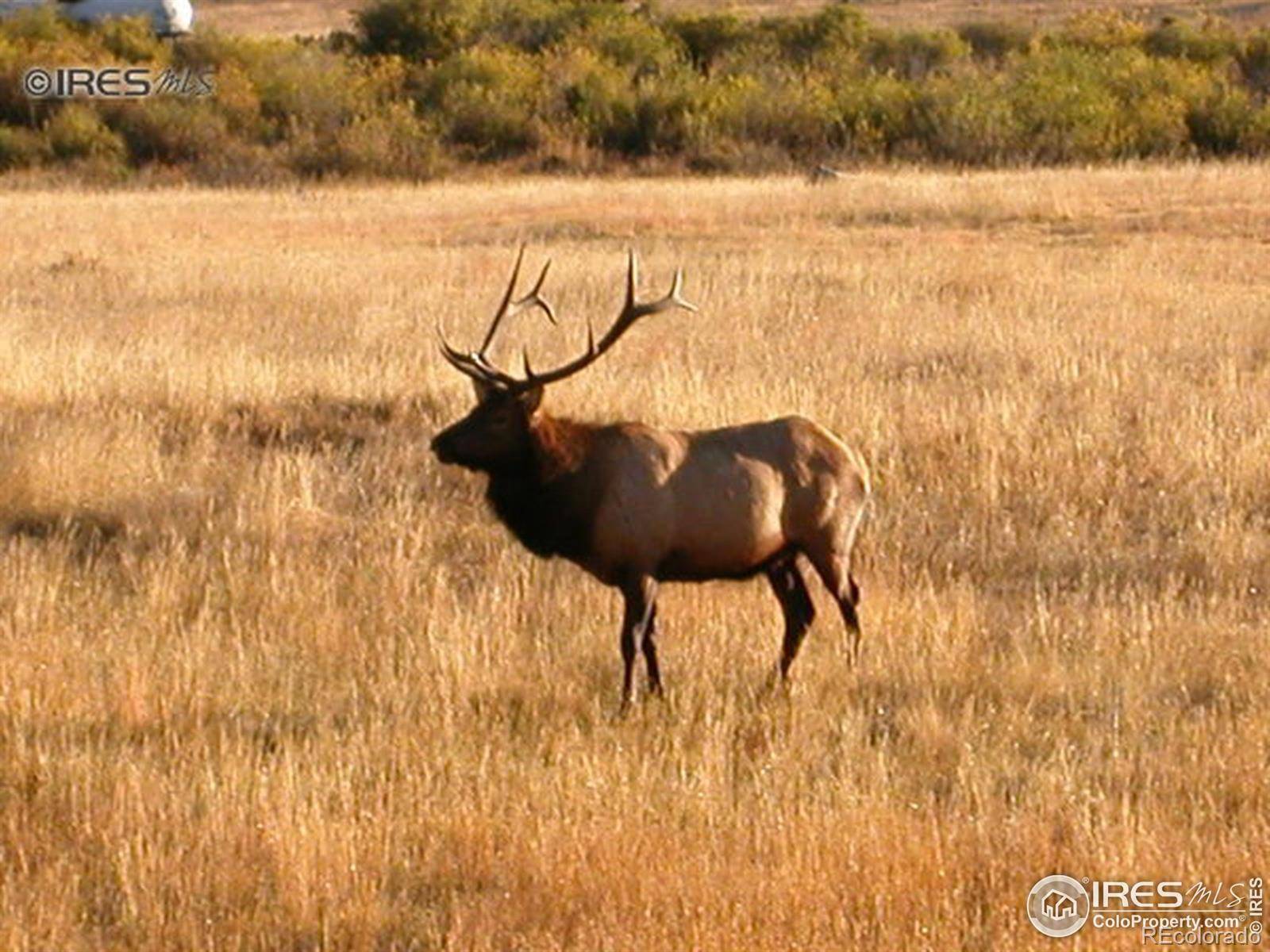 Estes Park, CO 80517,1565 Highway 66 #22