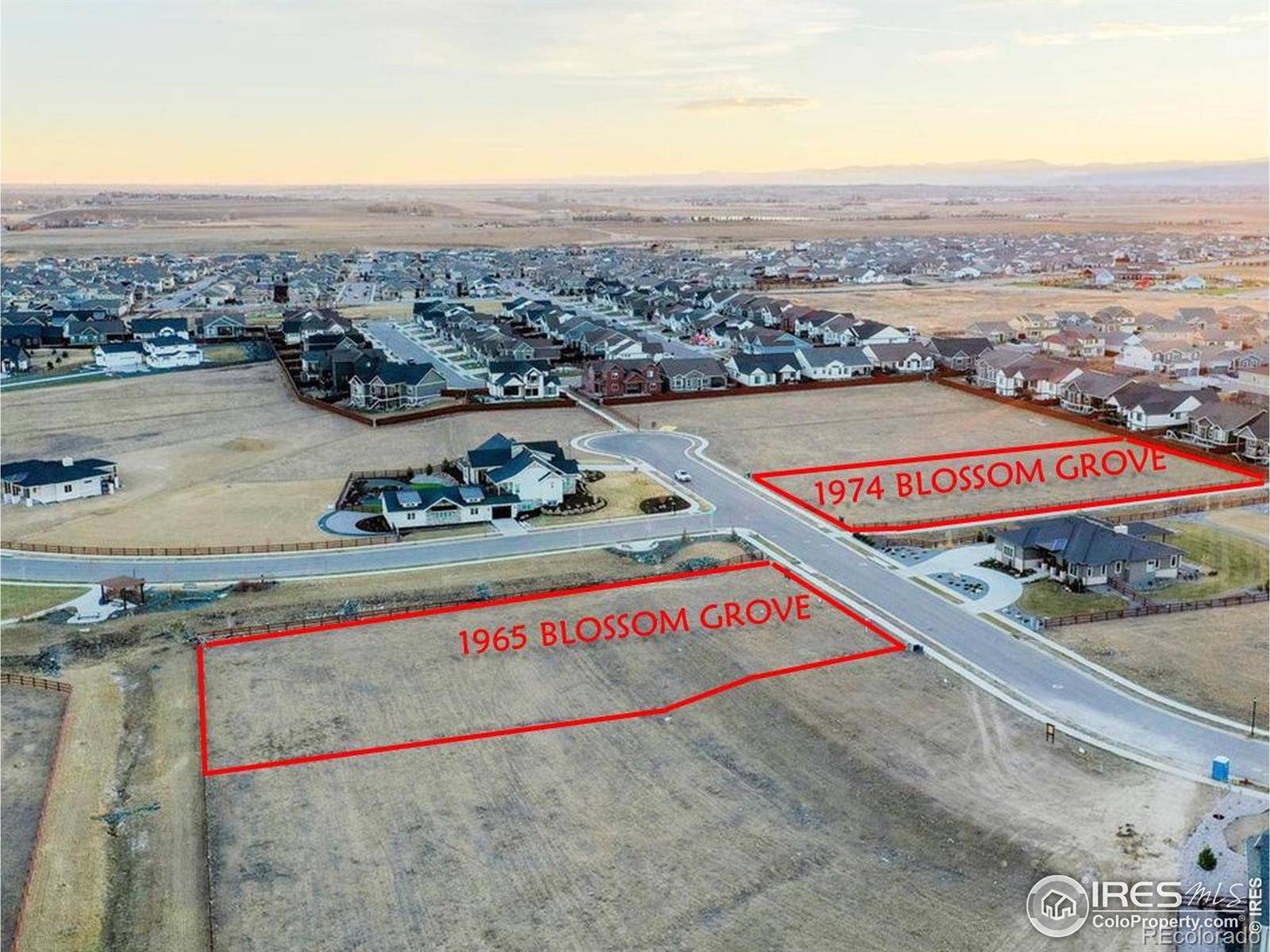 Windsor, CO 80550,1974 Blossom Grove CT