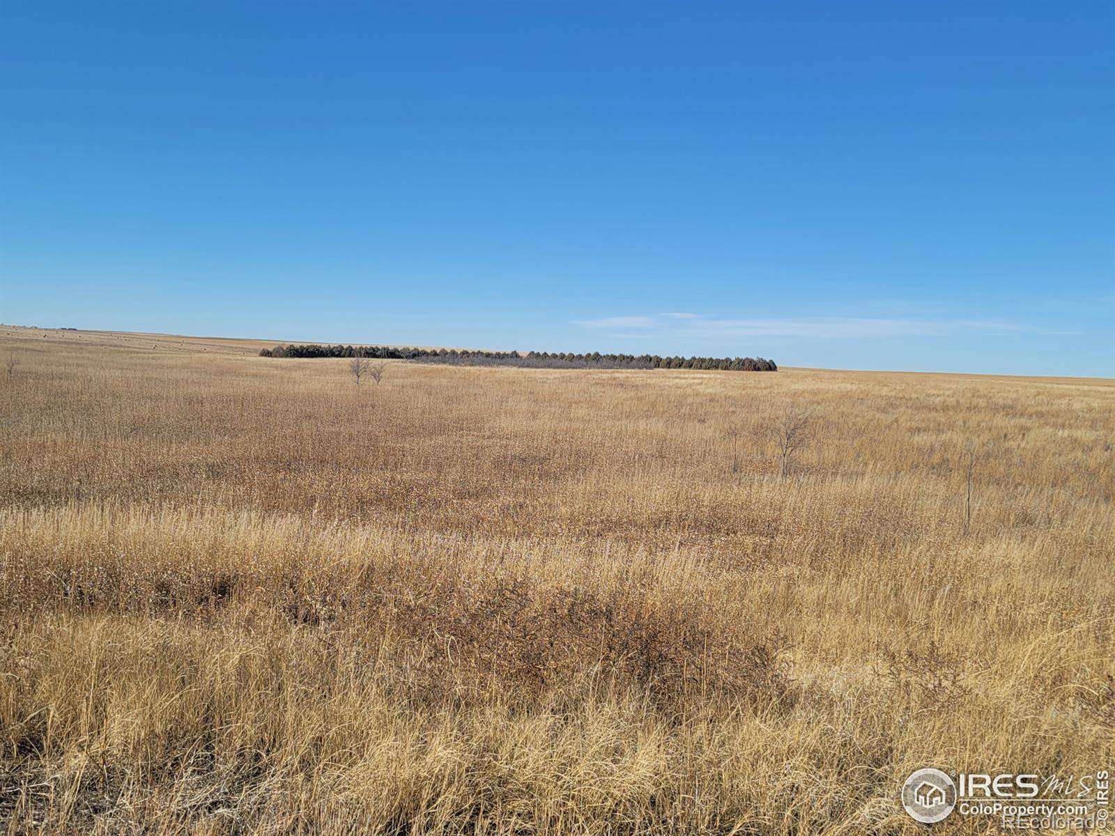 Otis, CO 80743,County Road 42