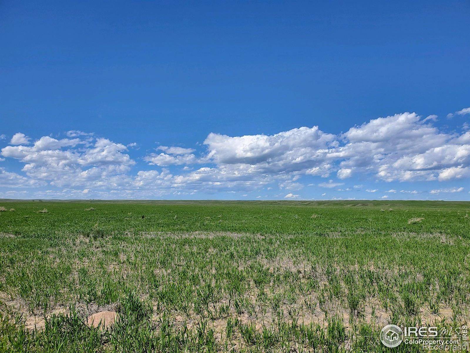 Nunn, CO 80648,0 Lot 4 County Road 102