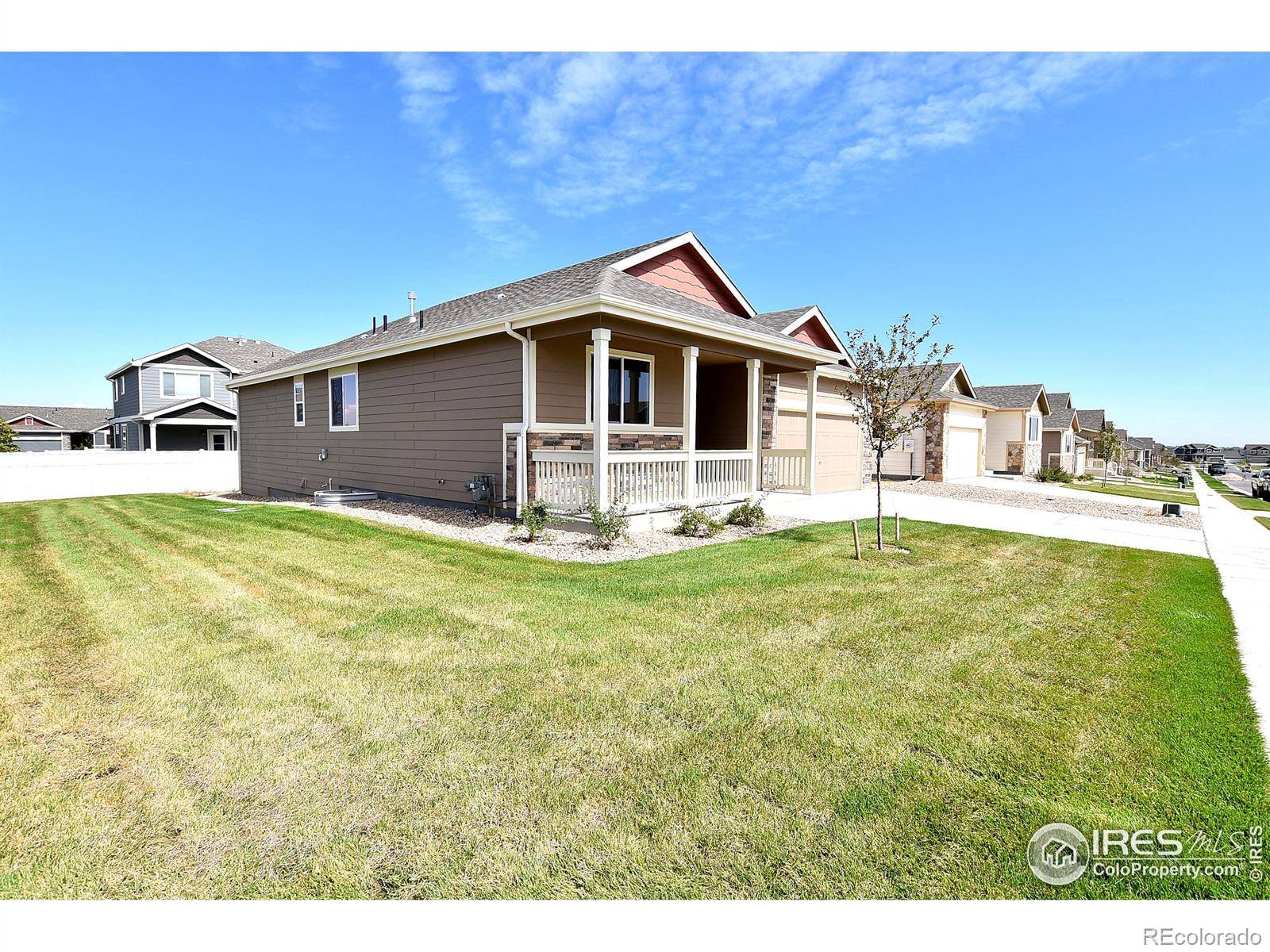 Windsor, CO 80550,2022 Autumn Moon DR