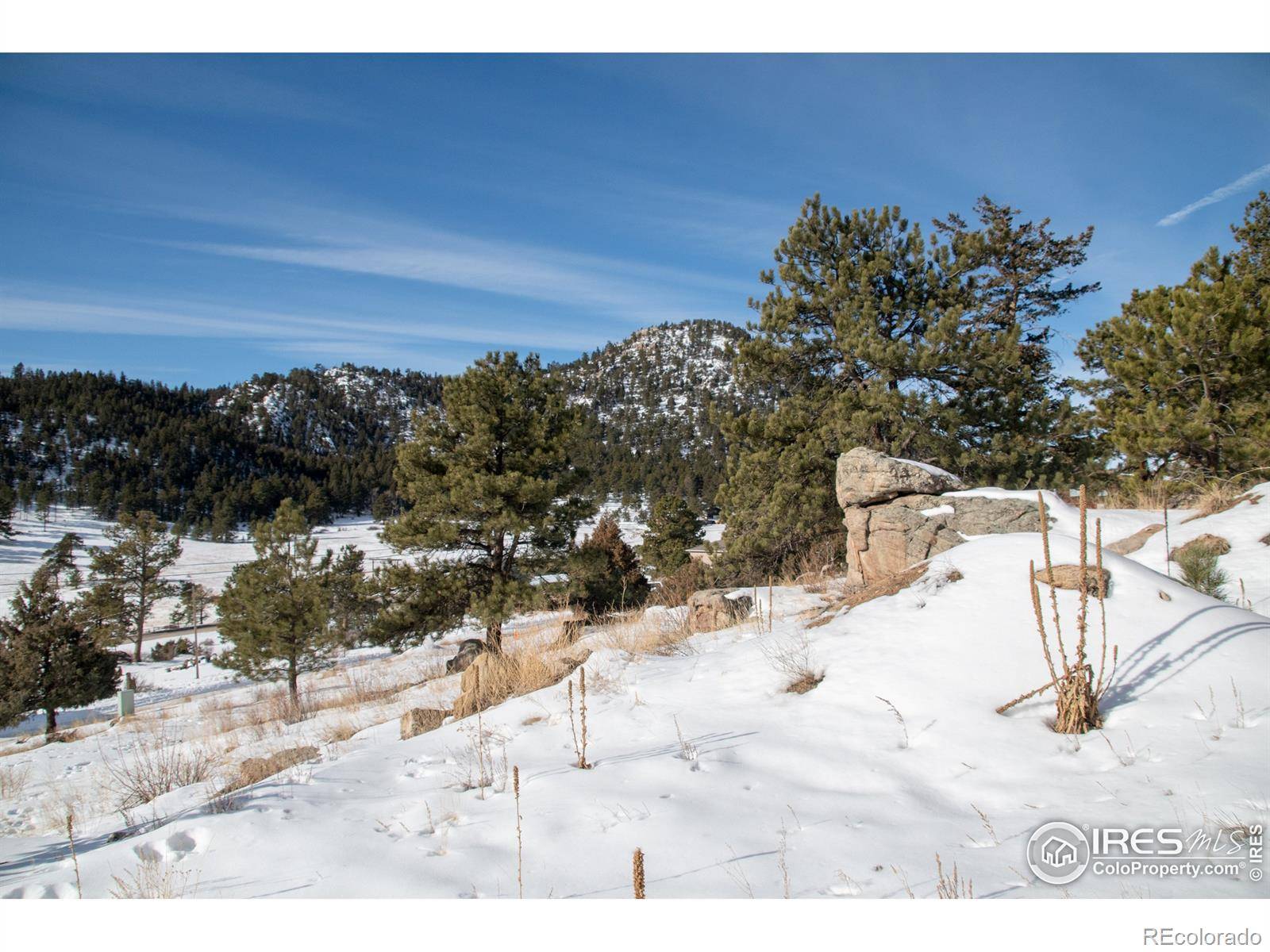 Estes Park, CO 80517,163 Meadowview DR