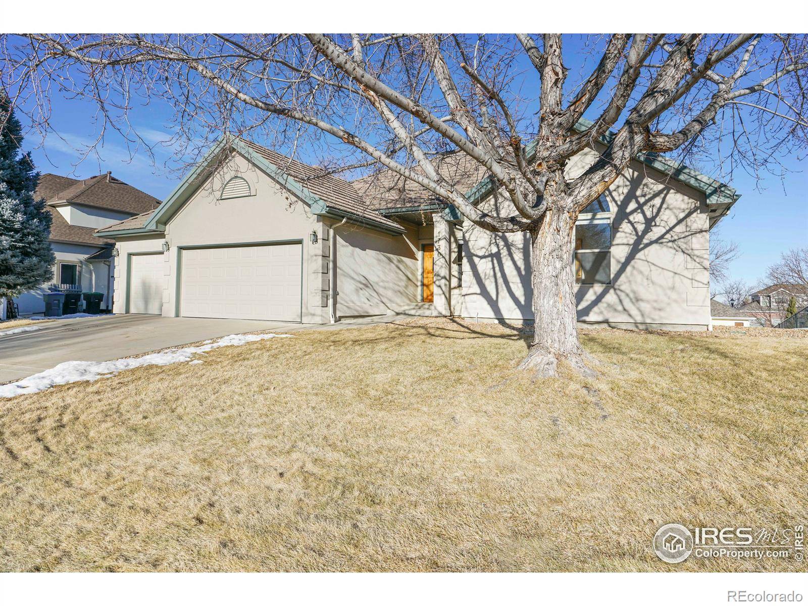 Longmont, CO 80504,1730 Crestone DR