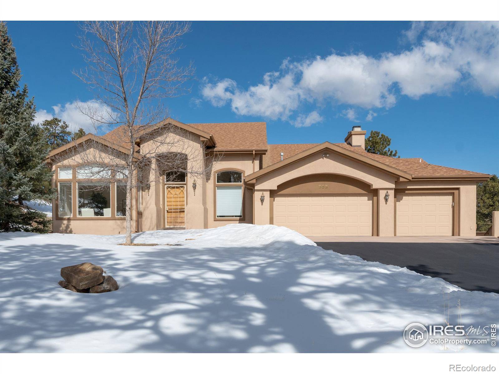 Estes Park, CO 80517,303 Green Pine CT