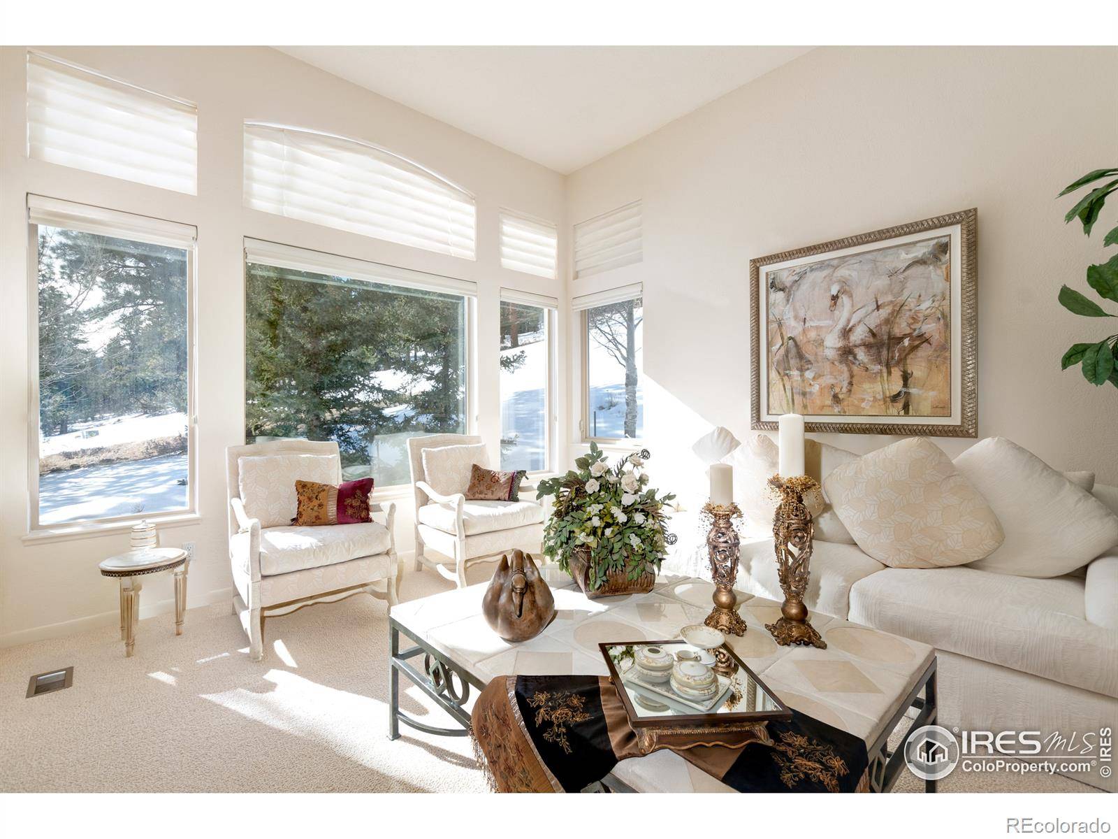 Estes Park, CO 80517,303 Green Pine CT