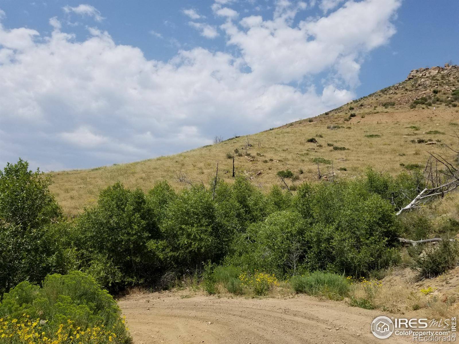 Livermore, CO 80536,154 Red Mountain CT