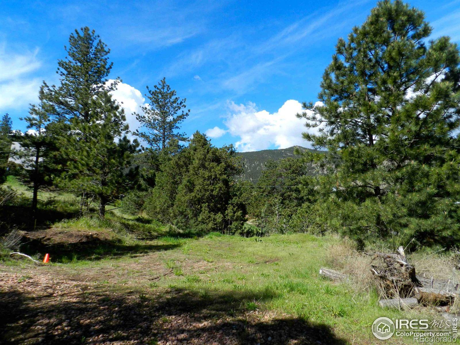 Lyons, CO 80540,202 Estes Park Estates DR