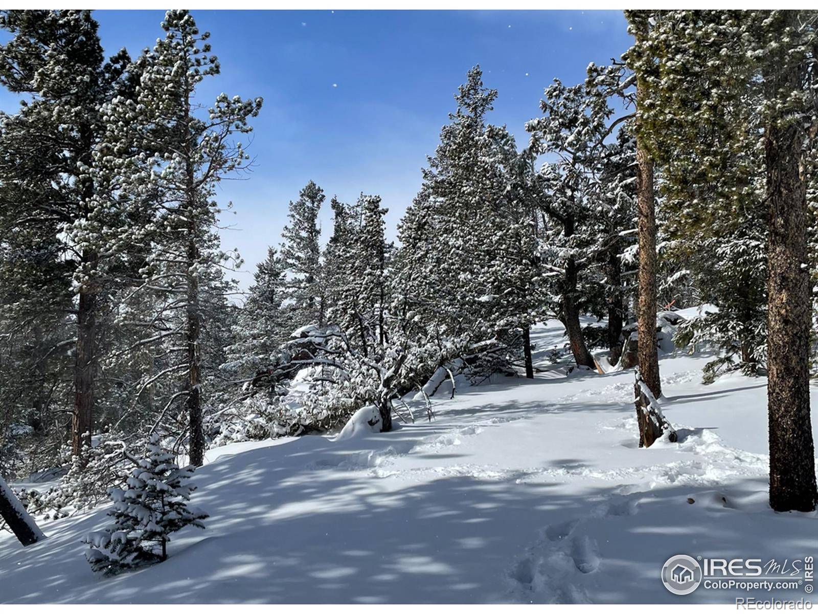 Red Feather Lakes, CO 80545,1171 Jicarilla TRL